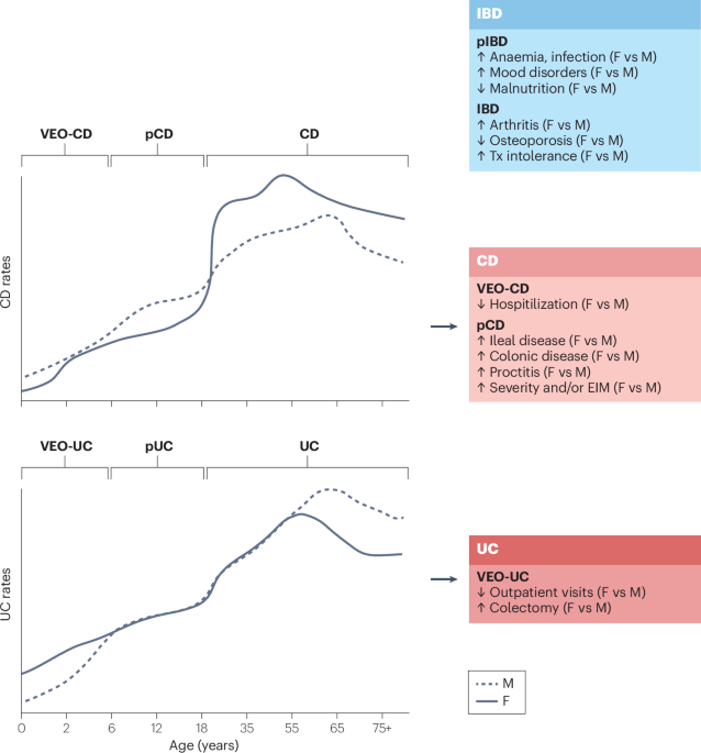 Influence of biological sex in inflammatory bowel diseases