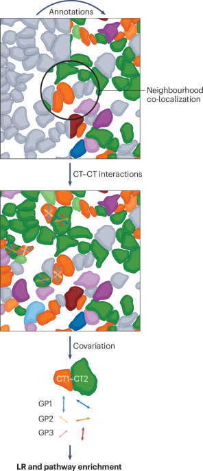 Decoding cell–cell communication using spatial transcriptomics