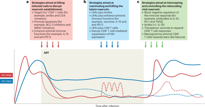 Immune-mediated strategies to solving the HIV reservoir problem