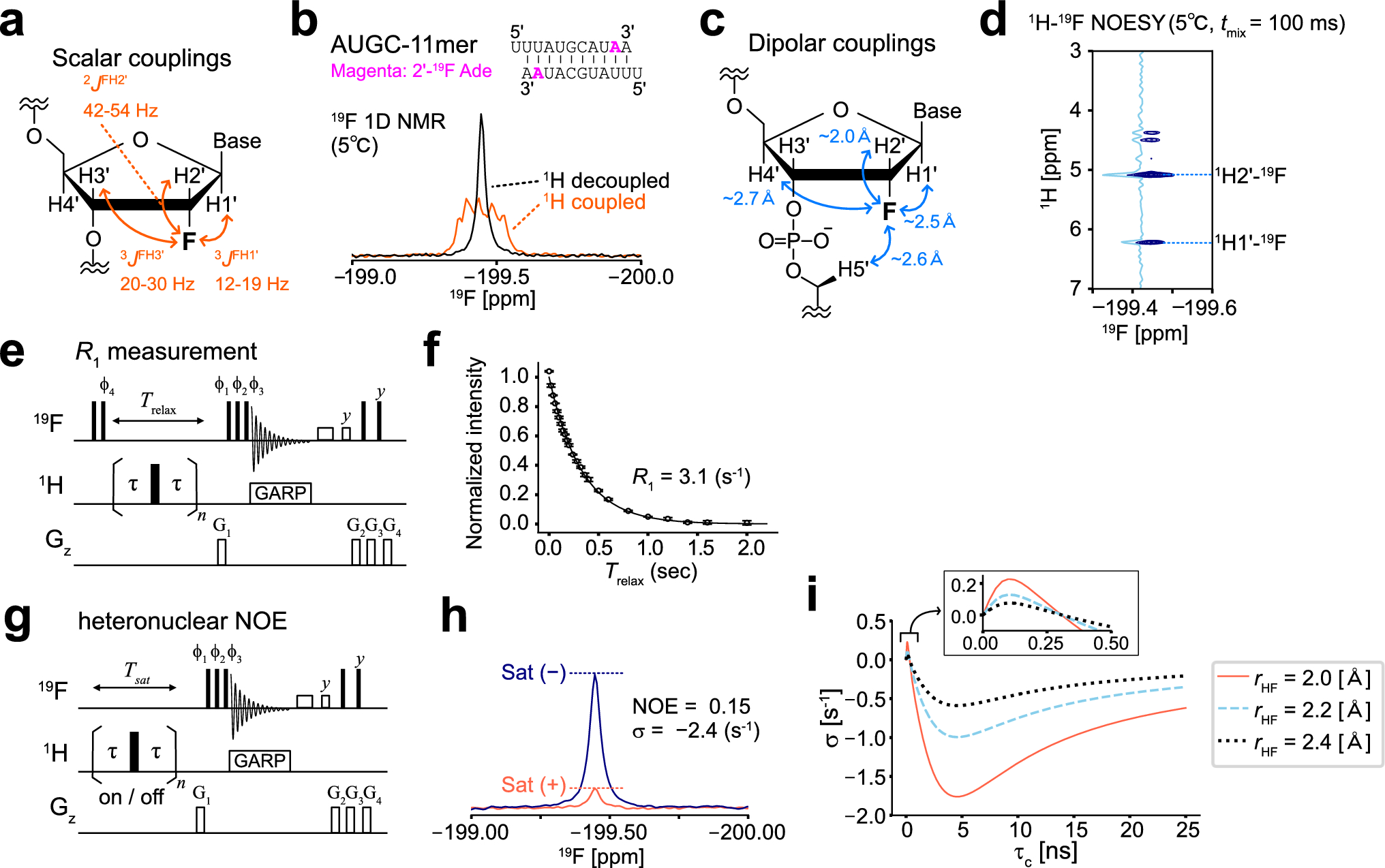 Quantitative analysis of the slow exchange process by F NMR in the presence of scalar and dipolar couplings: applications to the ribose 2′-F probe in nucleic acids