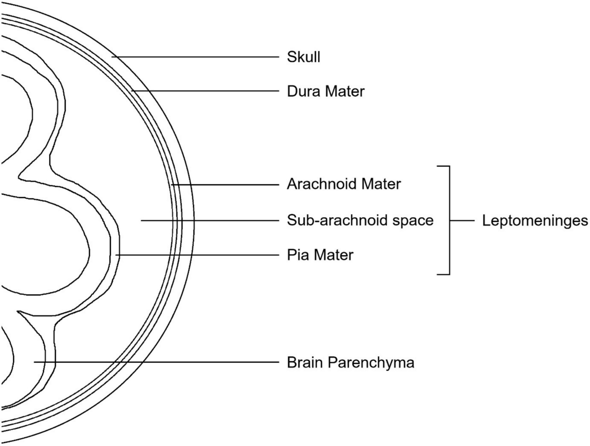 Leptomeningeal carcinomatosis in gastric cancer: A Review