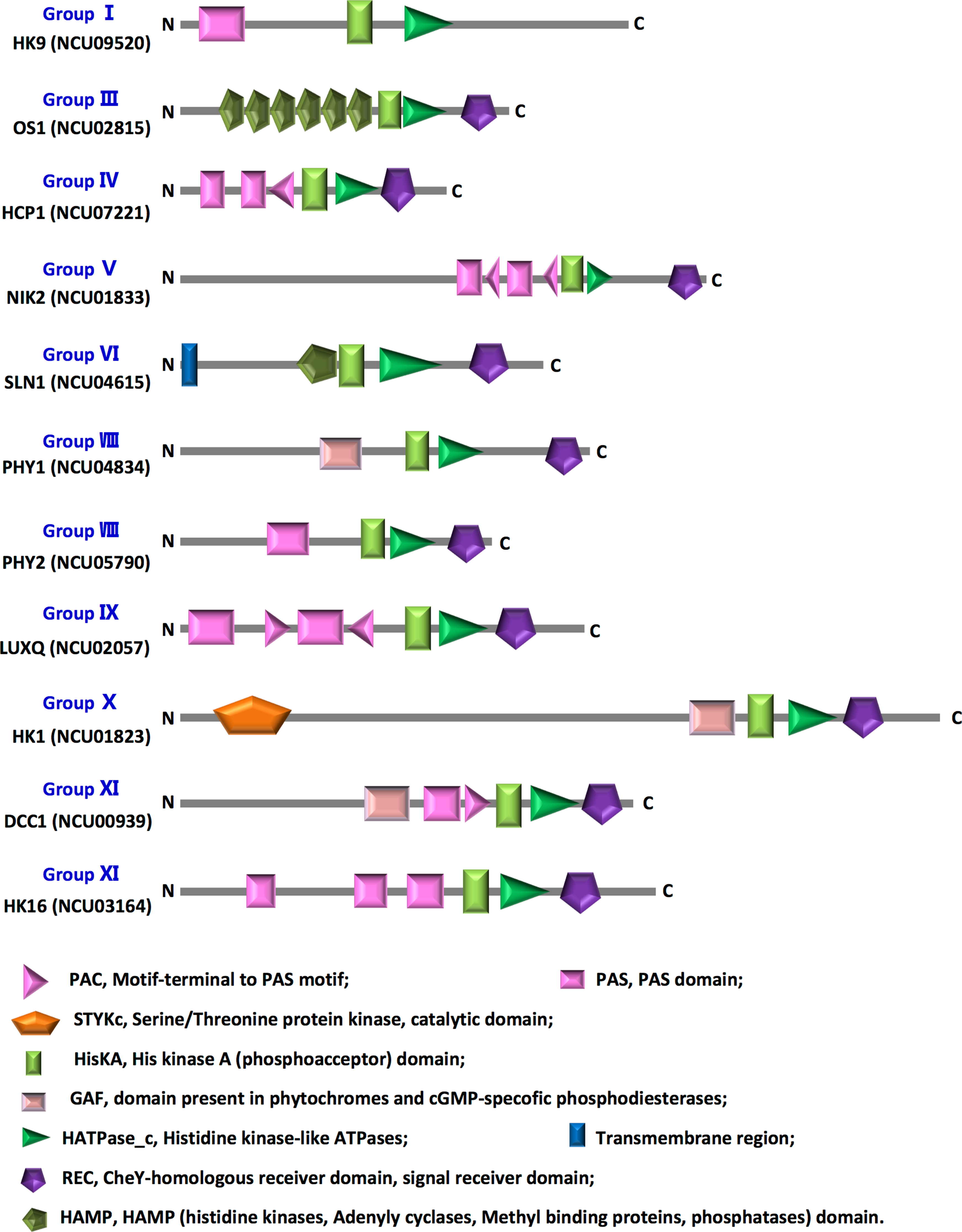 Adaptative responses of  by histidine kinases upon the attack of the arthropod