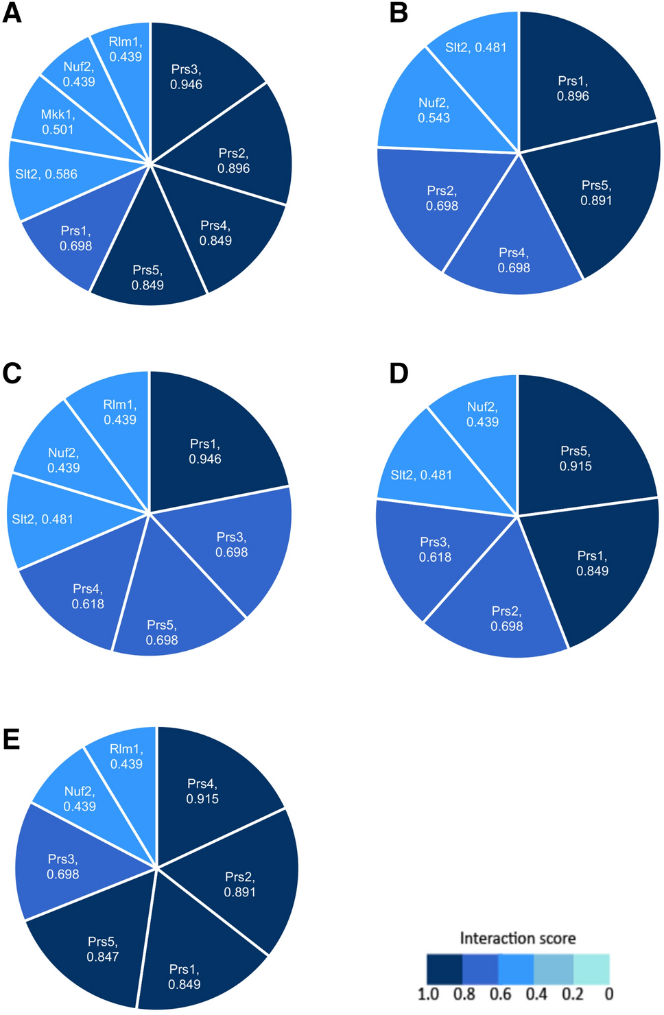 Hypothesis: evidence that the  gene products of  support both PRPP synthesis and maintenance of cell wall integrity