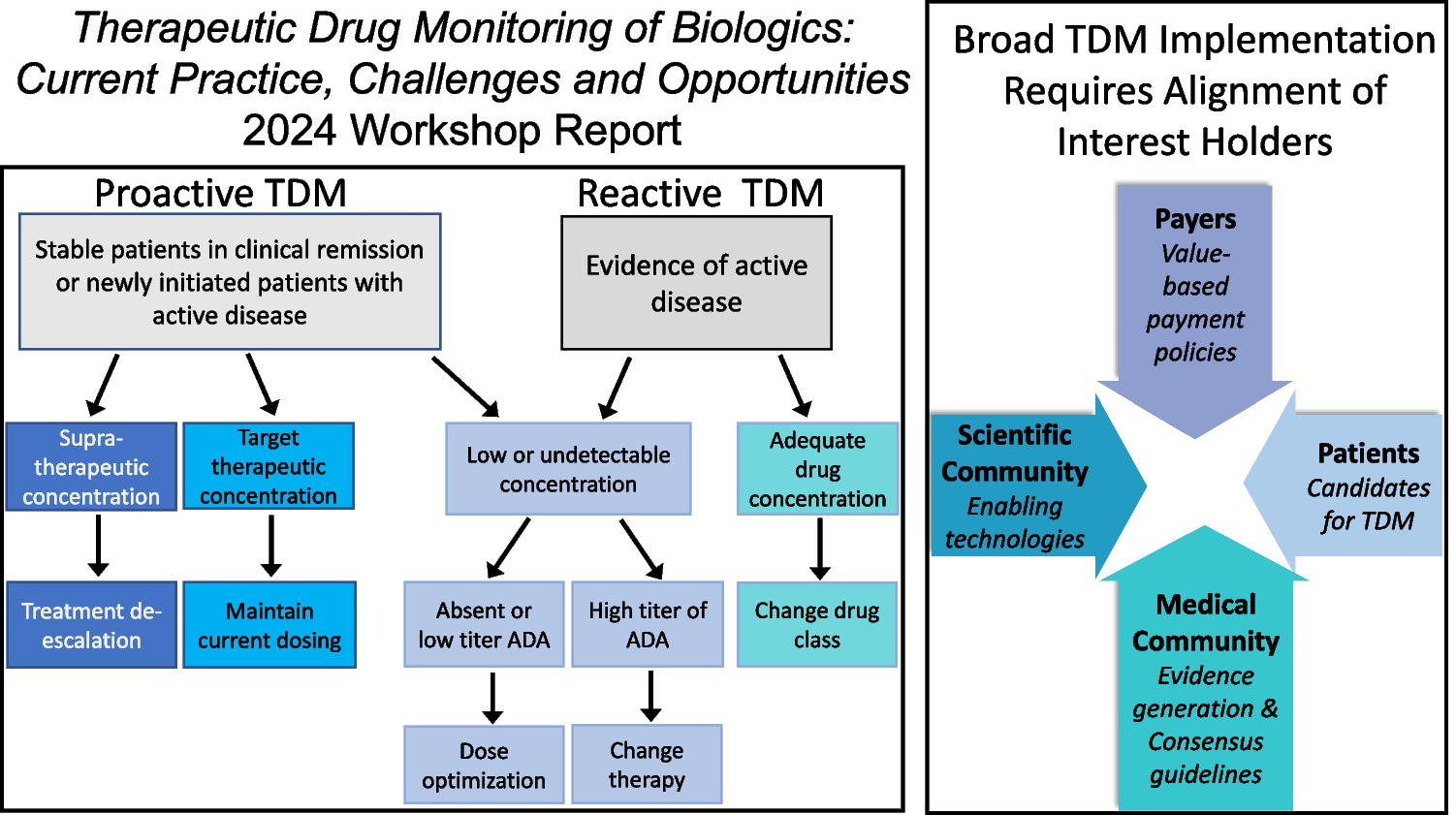 Therapeutic Drug Monitoring of Biologics: Current Practice, Challenges and Opportunities – a Workshop Report