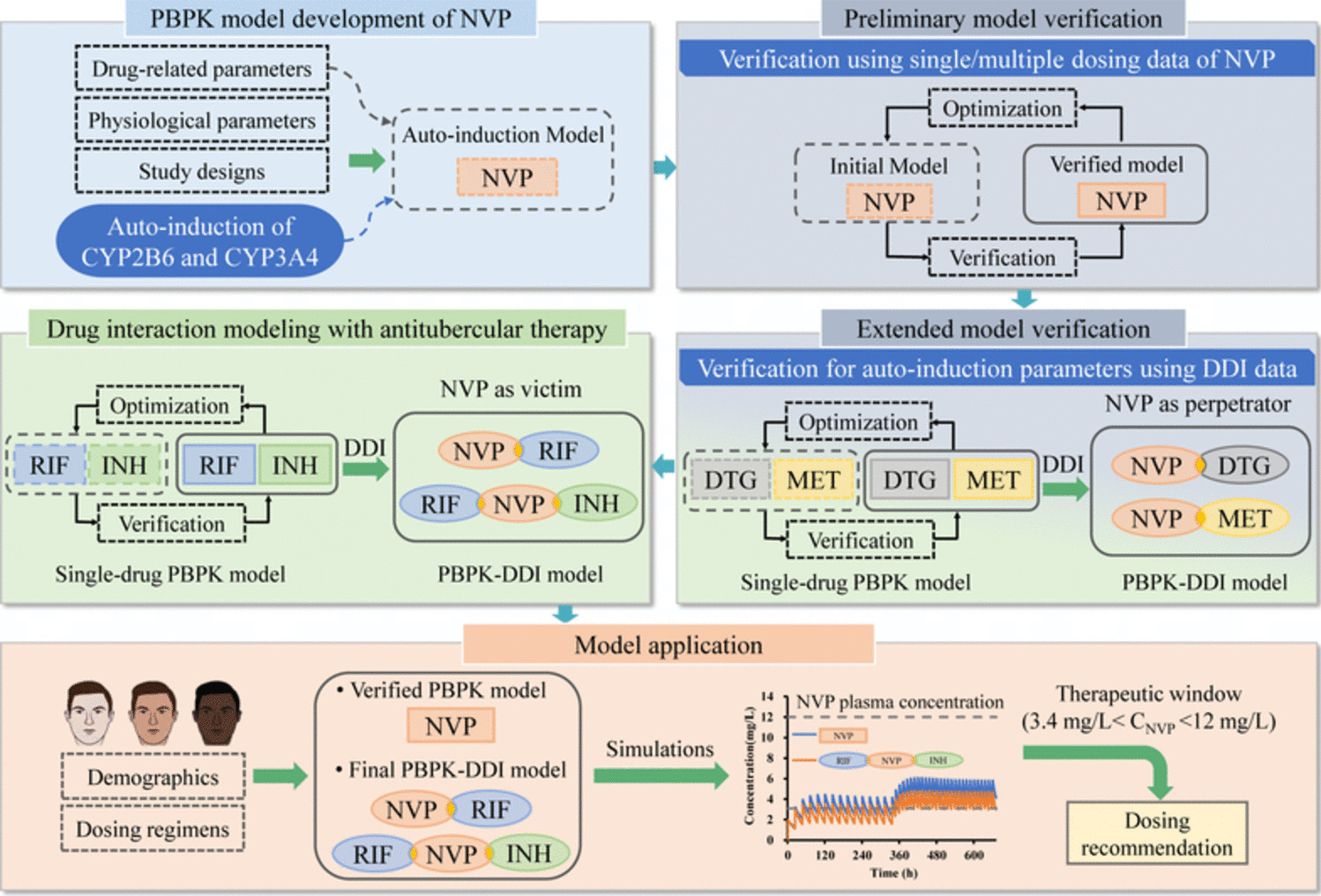 PBPK Modeling to Recommend Nevirapine Dosing in HIV and HIV-TB Co-infected Patients: Leveraging Enzyme Auto-Induction, Drug Interactions, and Ethnic Variability