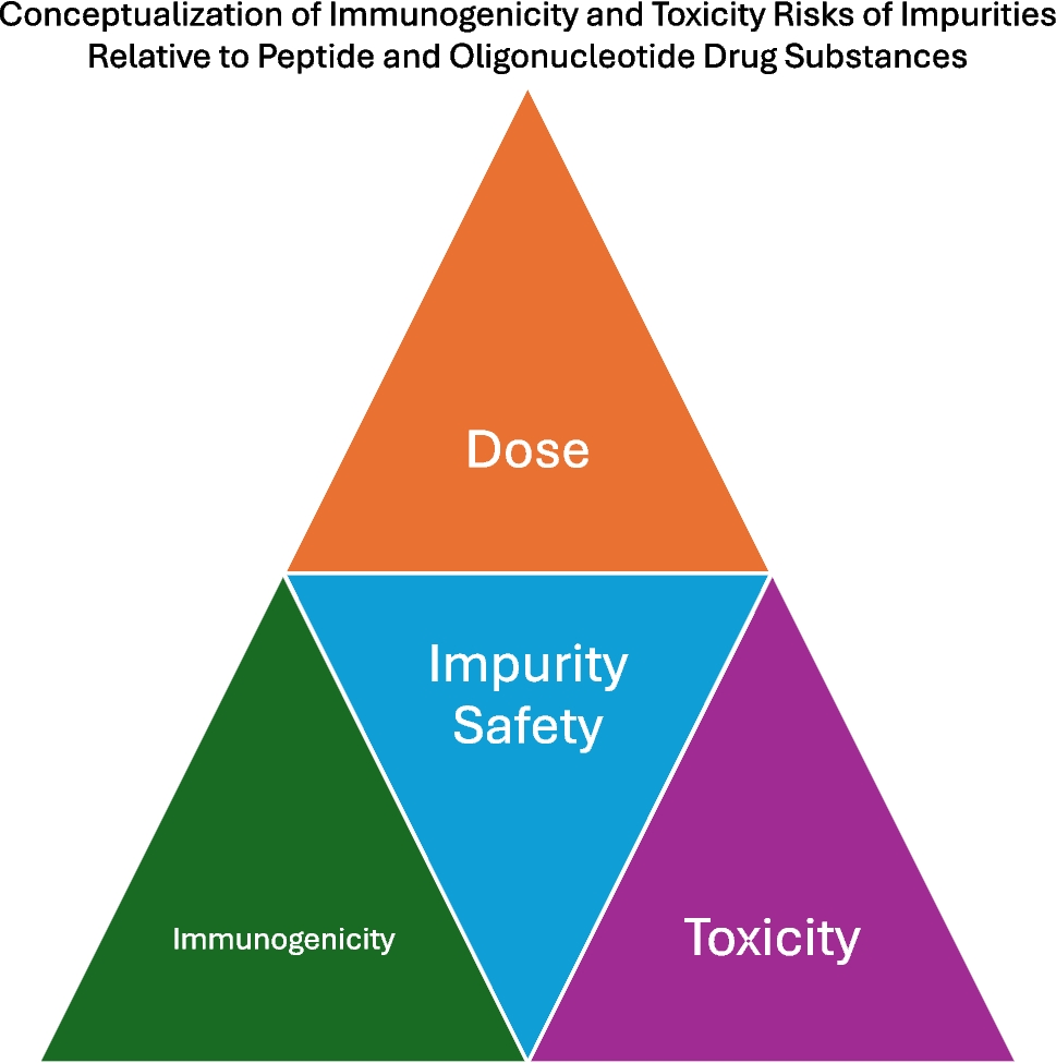 A Phase-Appropriate Risk Assessment Strategy in Support of the Safety of Peptide and Oligonucleotide-Related Impurities