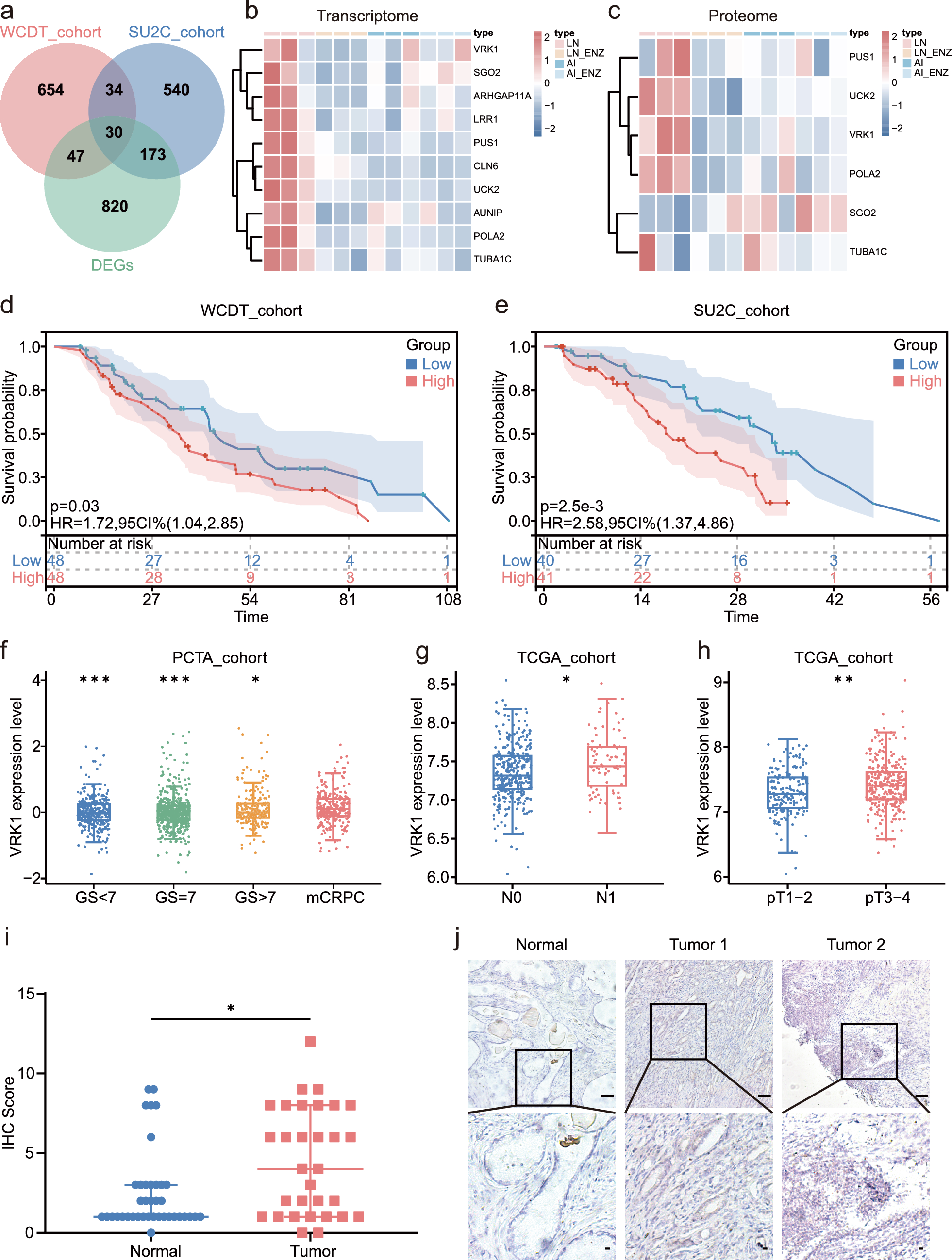 Elevated VRK1 levels after androgen deprivation therapy promote prostate cancer progression by upregulating YAP1 expression