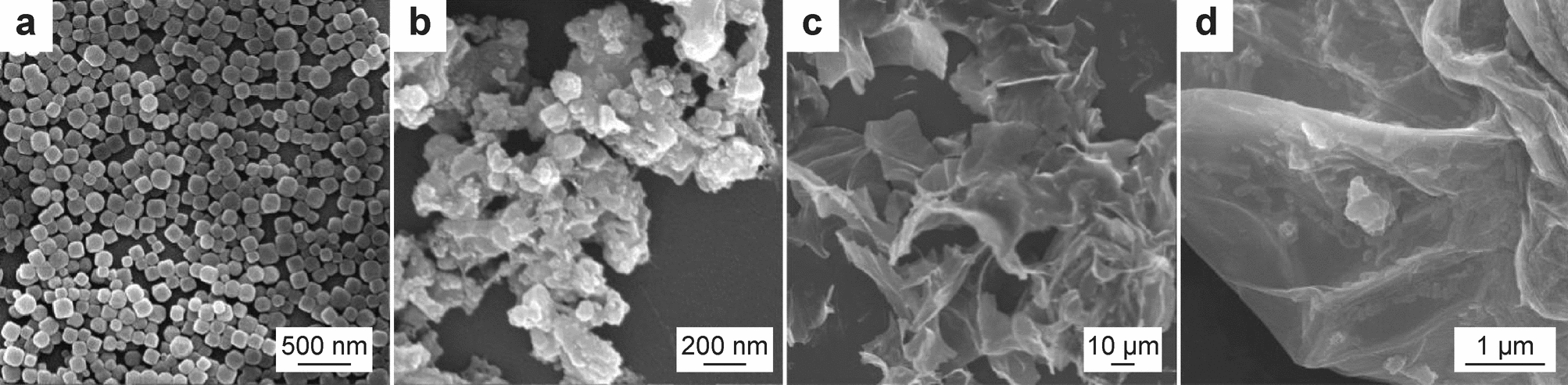 Electrochemical Biosensor Based on Lactate Oxidase Mimic Activity of CoN/rGO for Lactate Detection