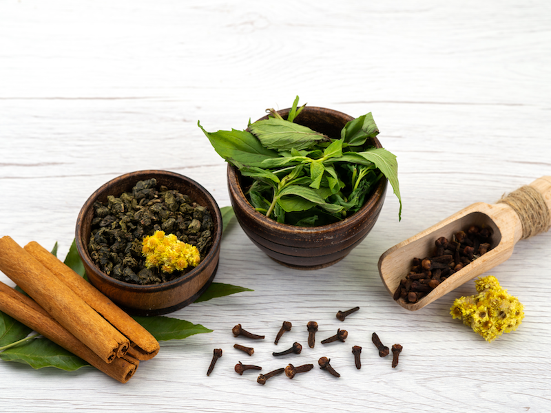 Ayurveda Management of Menorrhagia (Raktapradara): Protocol for a Randomized Controlled Trial