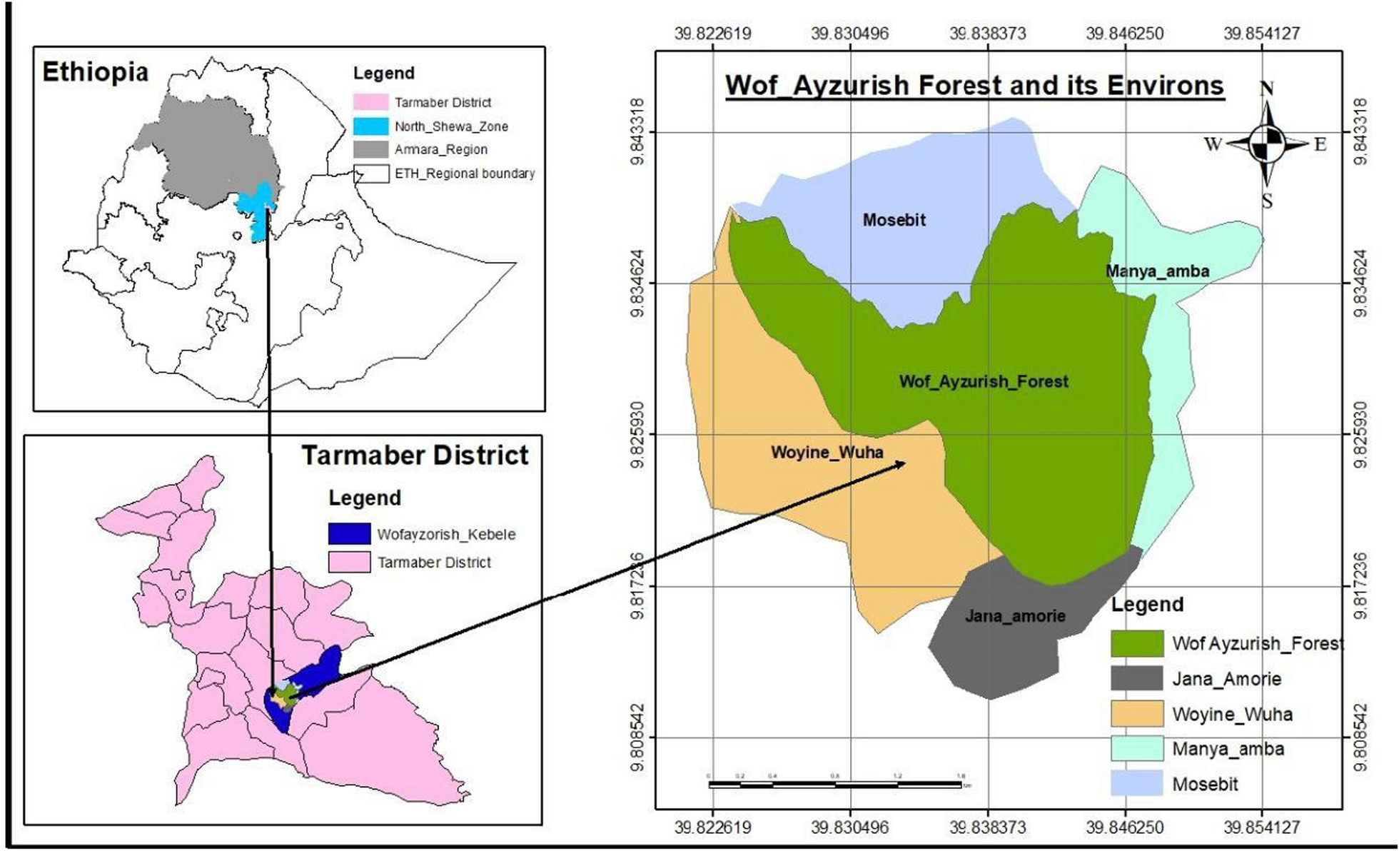 Human–forest interaction of useful plants in the Wof Ayzurish Forest, North Showa Zone, Ethiopia: cultural significance index, conservation, and threats