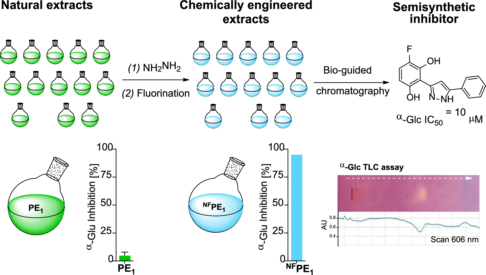 New semisynthetic α-glucosidase inhibitor from a doubly-chemically engineered extract