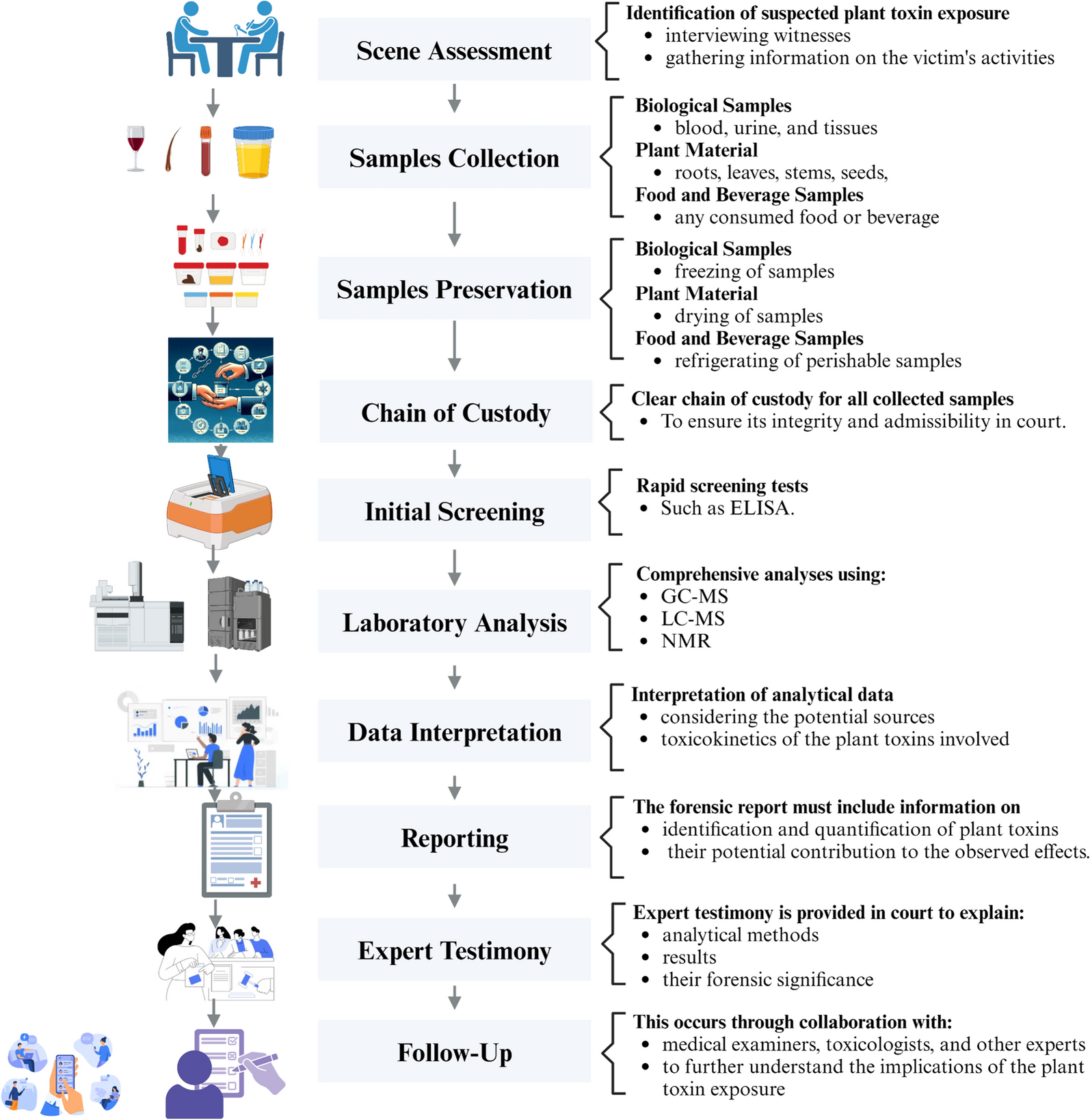 Phytochemical fingerprinting of phytotoxins as a cutting-edge approach for unveiling nature’s secrets in forensic science