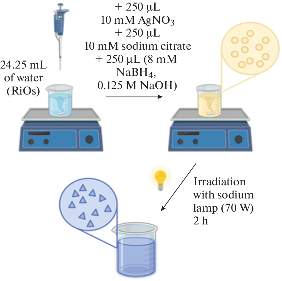 Comparative Analysis of Stabilization Methods for Silver Nanoprisms As Promising Nanobiomedicine Agents