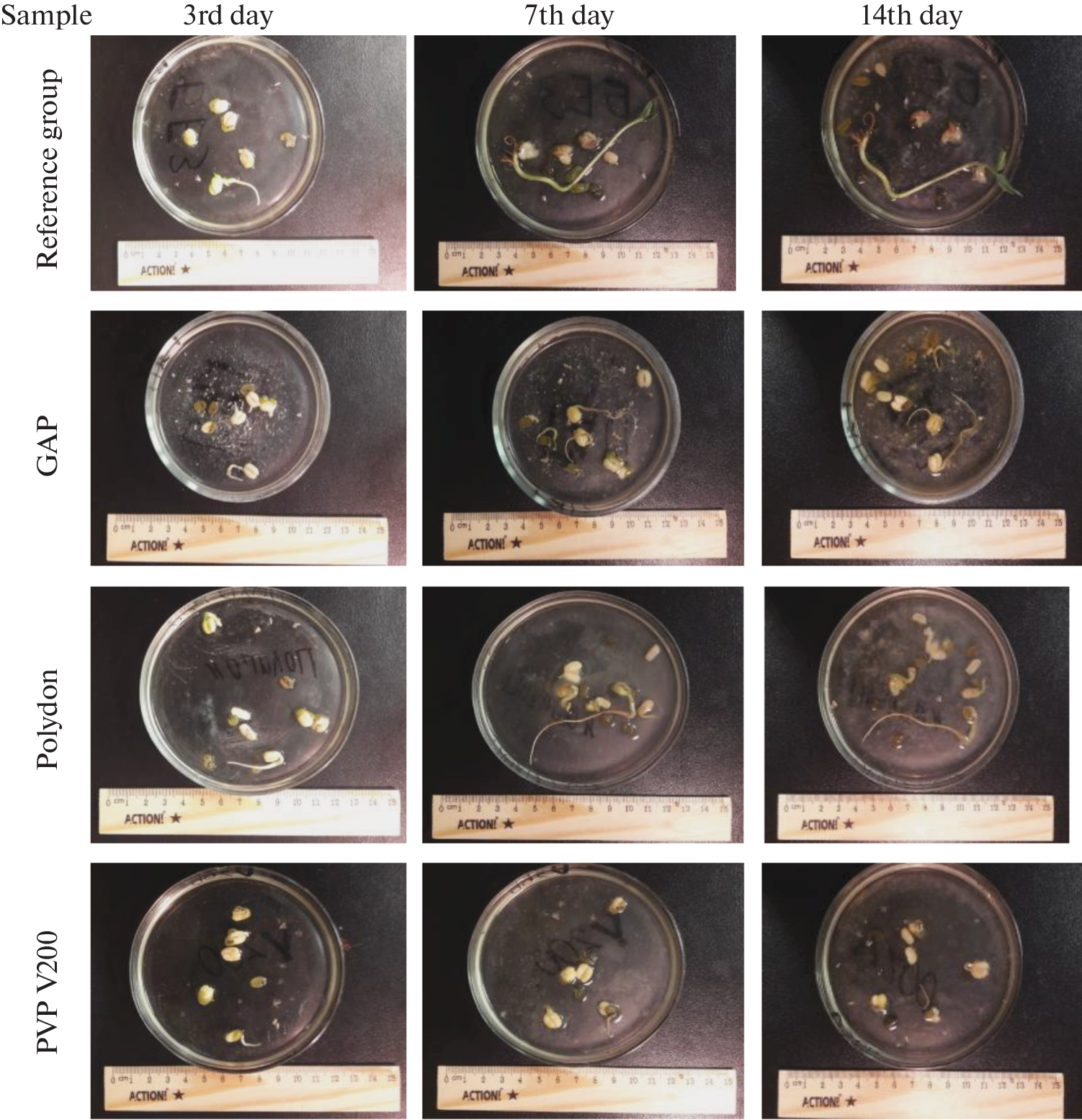 Phytotoxicity of Nanomaterials