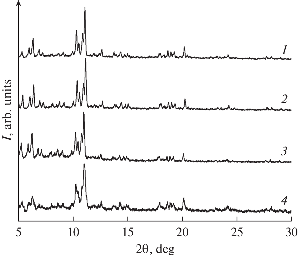 Synthesis of a Capsule for the Targeted Delivery of Active Compounds Based on Metal-Organic Frameworks with a Modified Surface