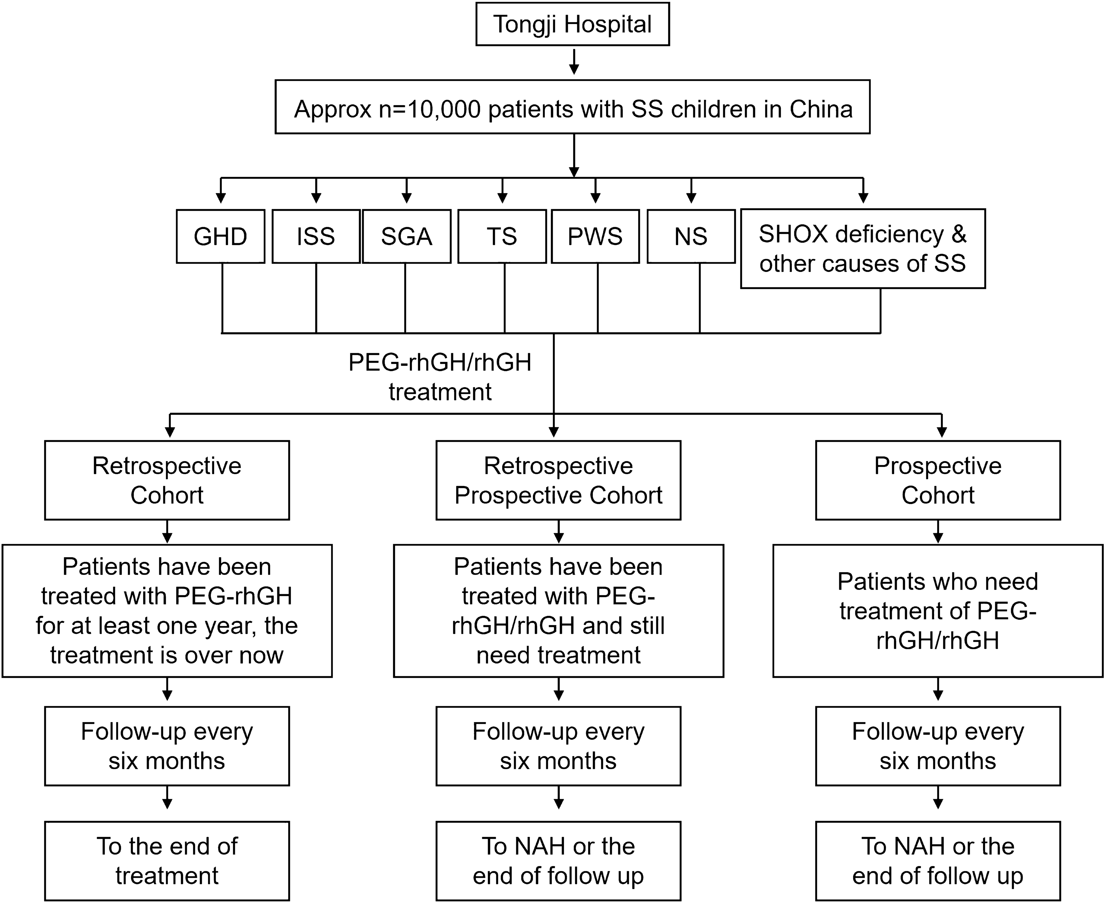 Long-Term Efficacy and Safety of Growth Hormone in Children Suffering from Short Stature in China (CGLS): An Open-Label, Multicenter, Prospective and Retrospective, Observational Study