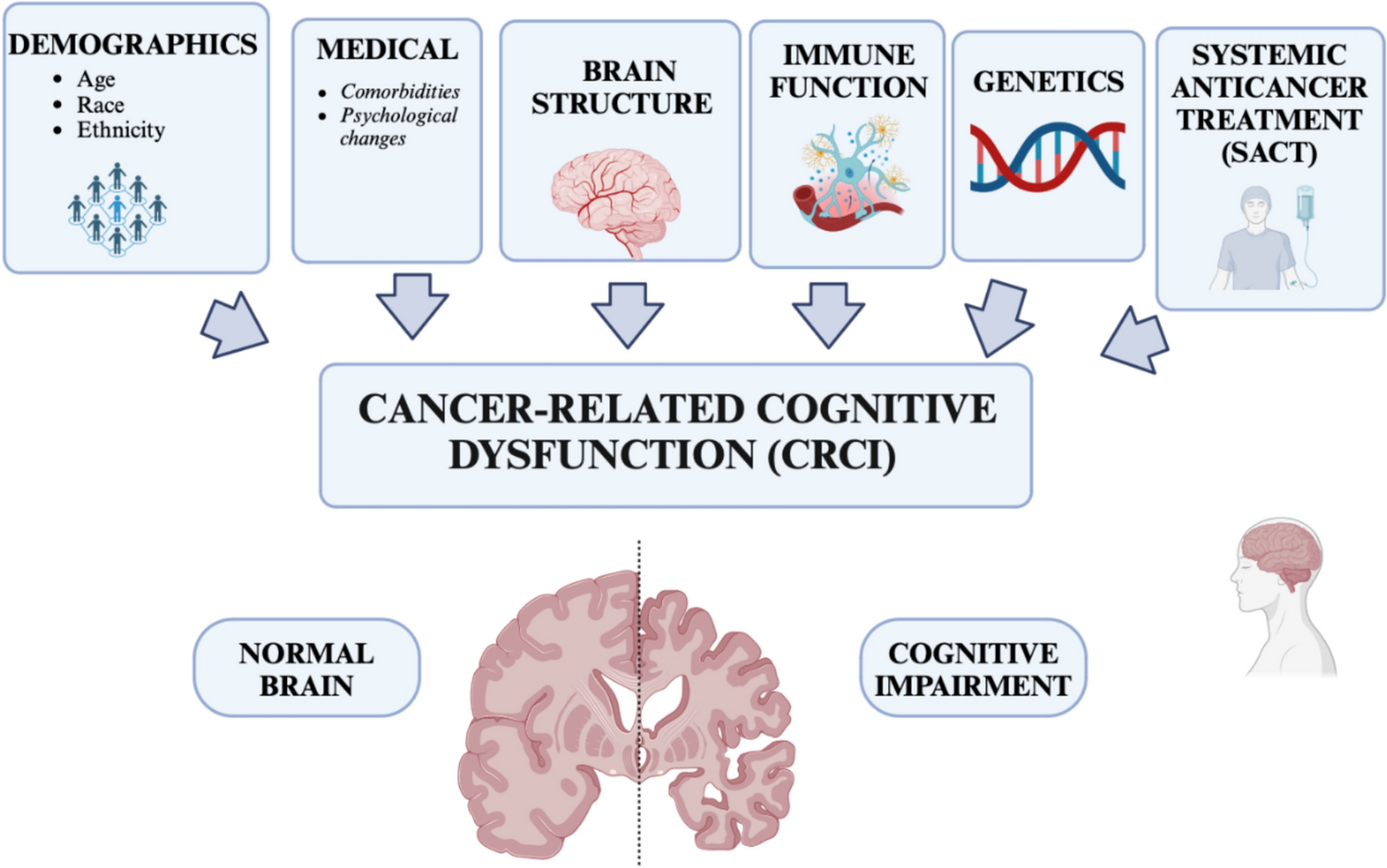 Unveiling Cognitive Impairment in Older Adults with Cancer on Systemic Anticancer Therapy: A Comprehensive Review