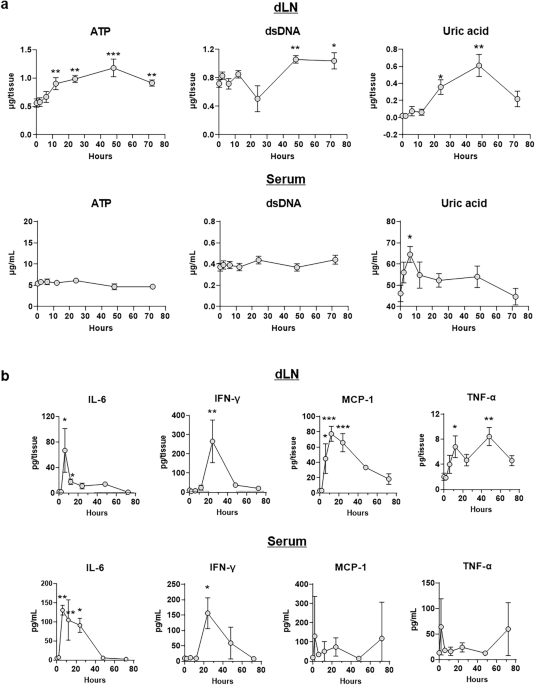 Emulsion adjuvant-induced uric acid release modulates optimal immunogenicity by targeting dendritic cells and B cells