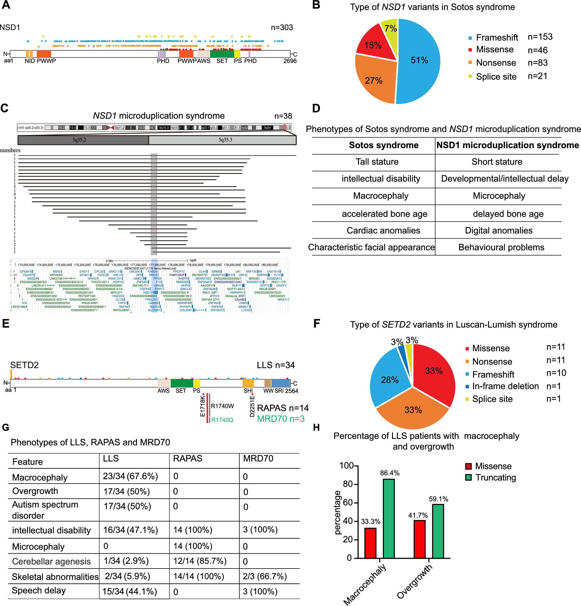Histone H3K36 methyltransferases NSD1 and SETD2 are required for brain development