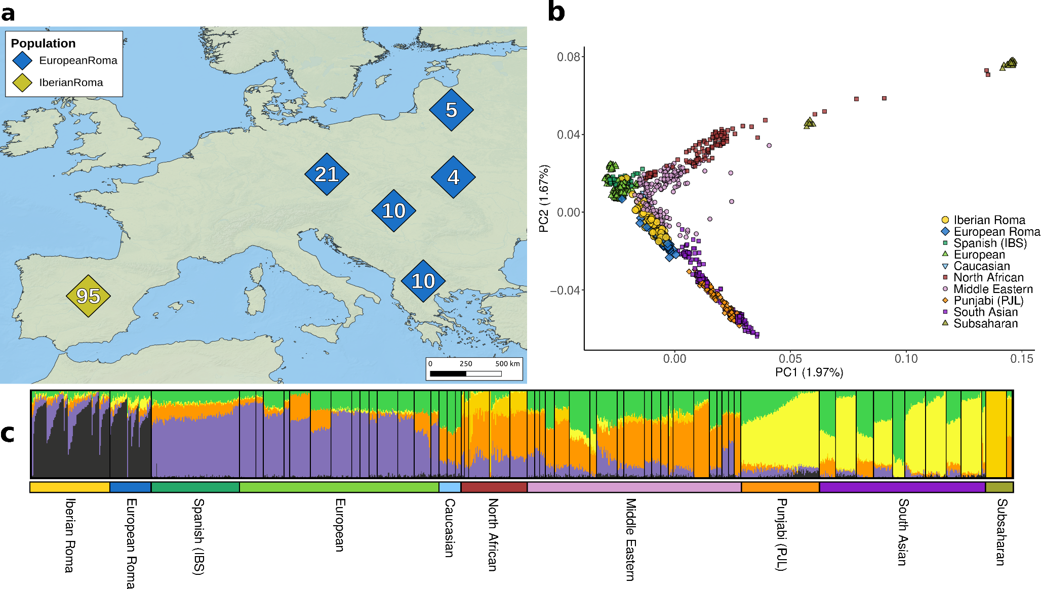 The genetic footprint of the European Roma diaspora: evidence from the Balkans to the Iberian Peninsula
