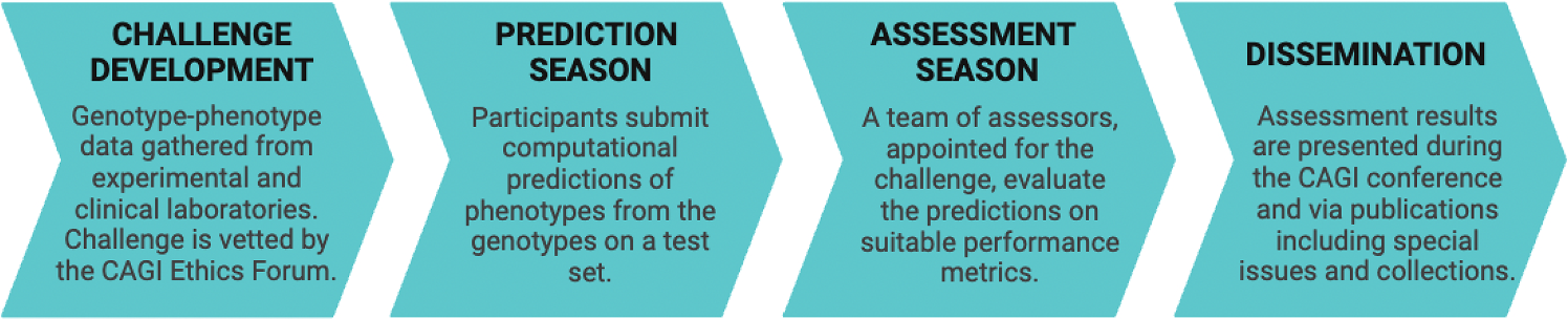 Evaluating predictors of kinase activity of STK11 variants identified in primary human non-small cell lung cancers