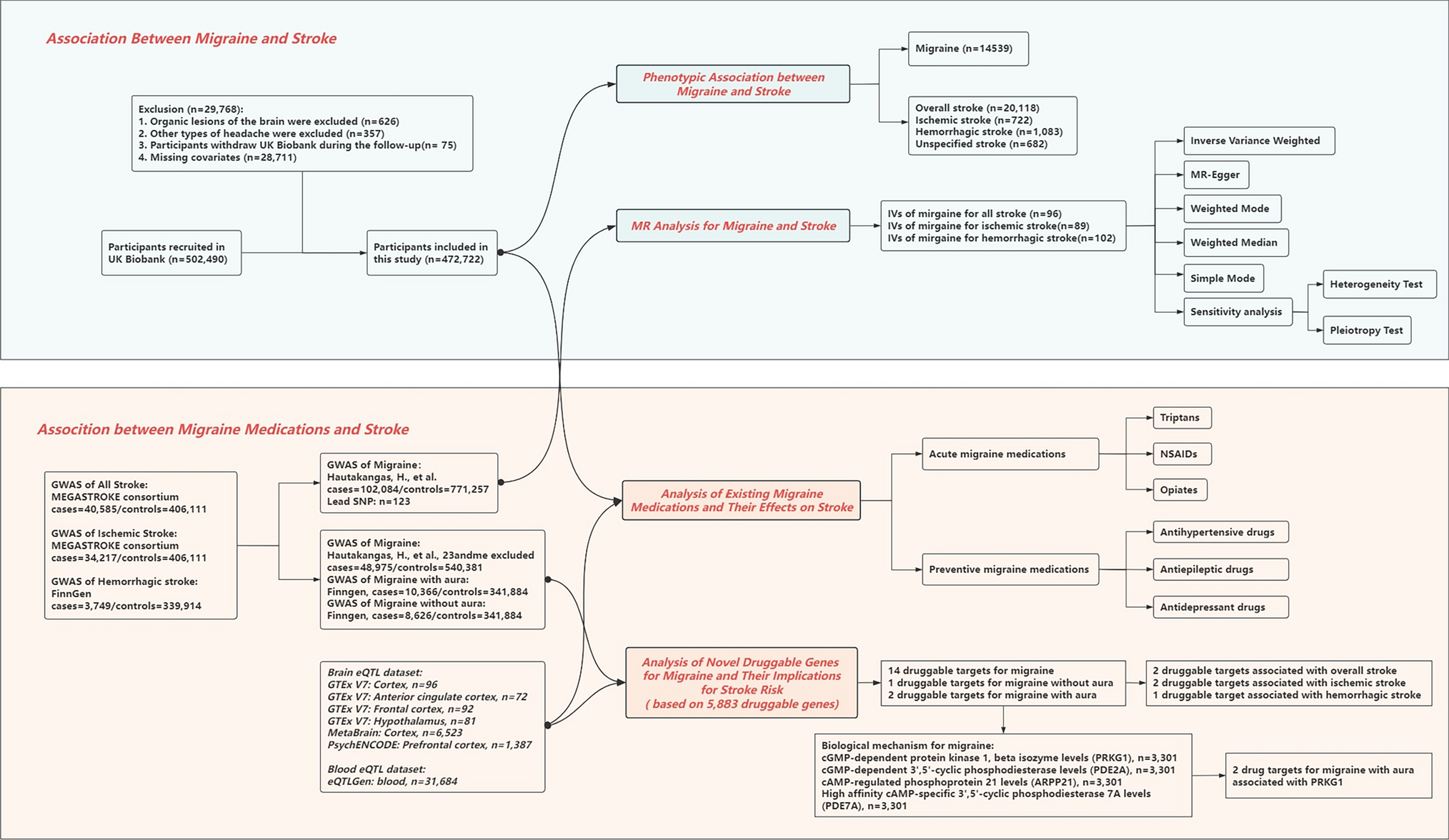 Conventional and genetic association between migraine and stroke with druggable genome-wide Mendelian randomization