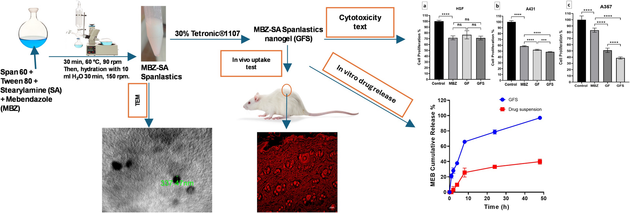 Stearyl amine tailored spanlastics embedded within tetronic nanogel for boosting the repurposed anticancer potential of mebendazole: formulation, in vitro profiling, cytotoxicity assessment, and in vivo permeation analysis