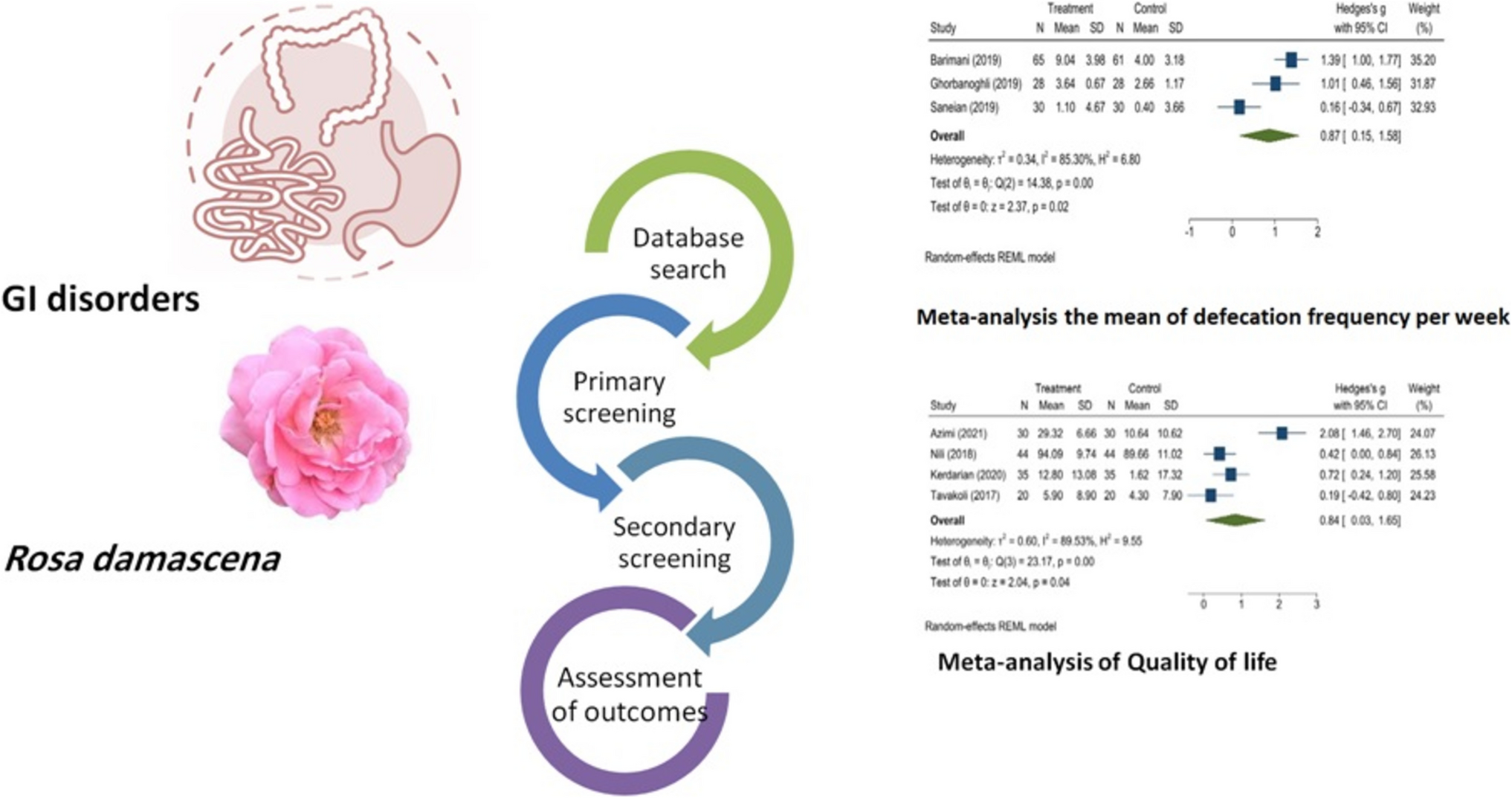 The impact of  Mill. on gastrointestinal disorders: a comprehensive analysis through clinical trials, systematic review, and meta-analysis