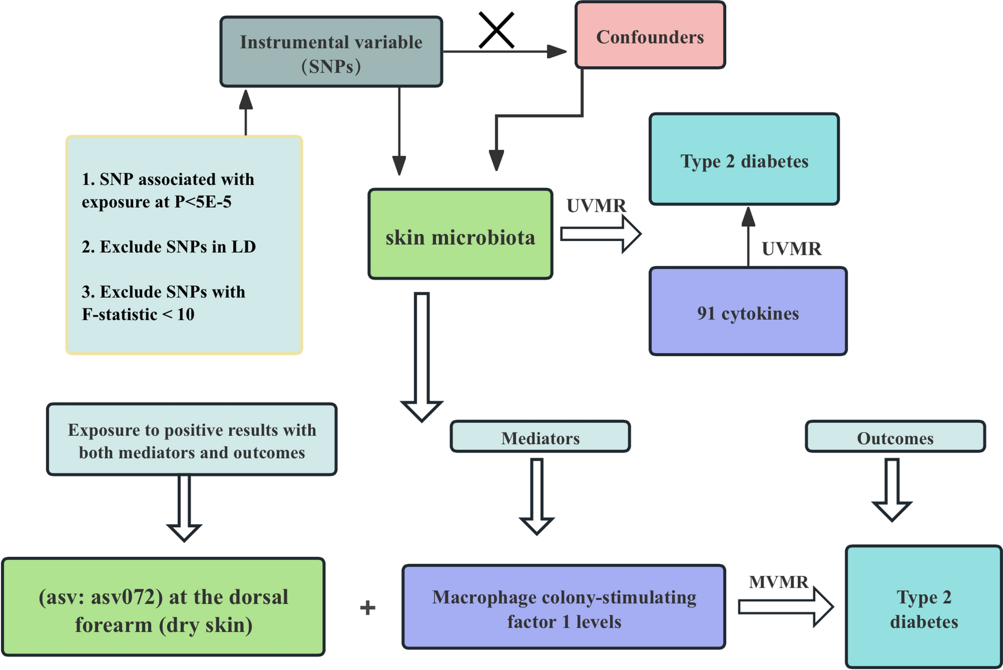 Unveiling the interplay among skin microbiota, cytokines, and T2DM: an insightful Mendelian randomization study