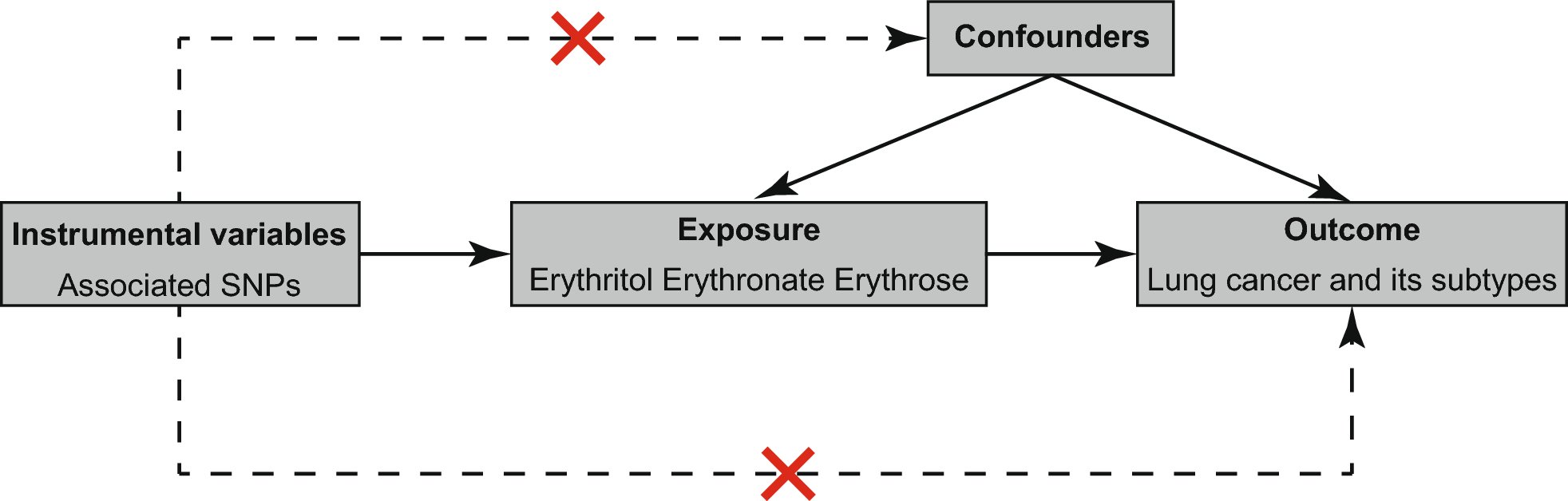 Association between erythritol and lung cancer: a two-sample Mendelian randomization study