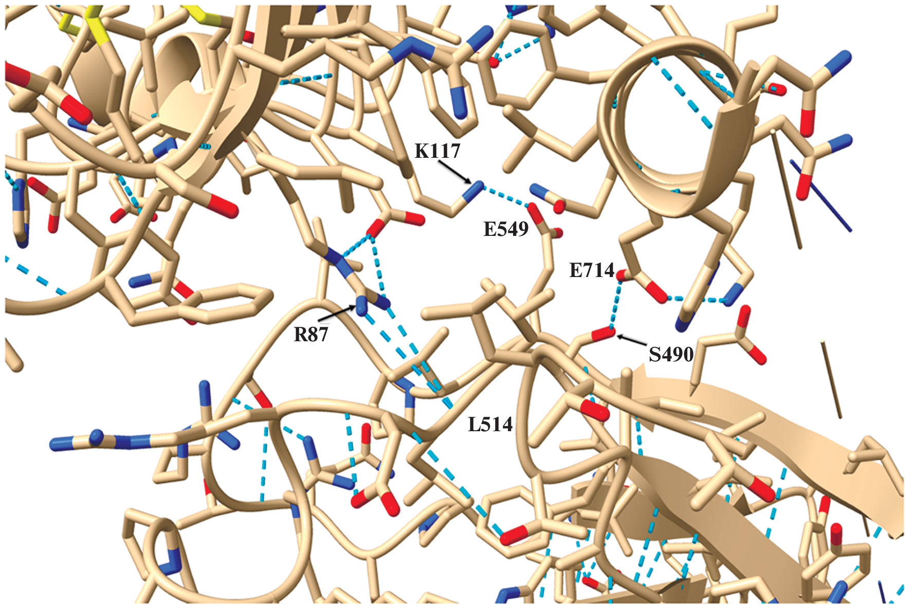 Identification of Amino Acid Residues Involved in the pH Sensitivity of Receptor Tyrosine Kinase IRR