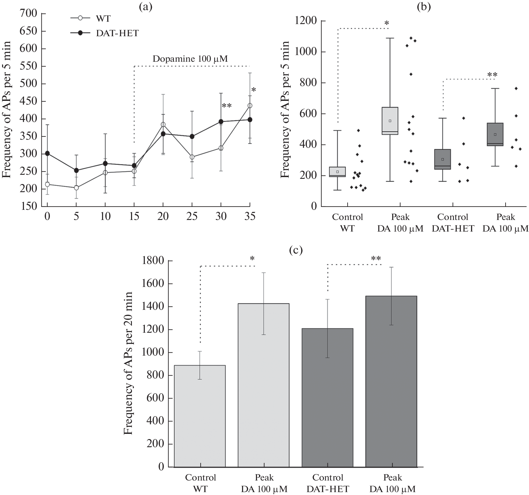 Comparison of Dopamine and Tyramine Action on the Firing Rate of Trigeminal Dural Afferents in Wild Type and DAT-HET Rats