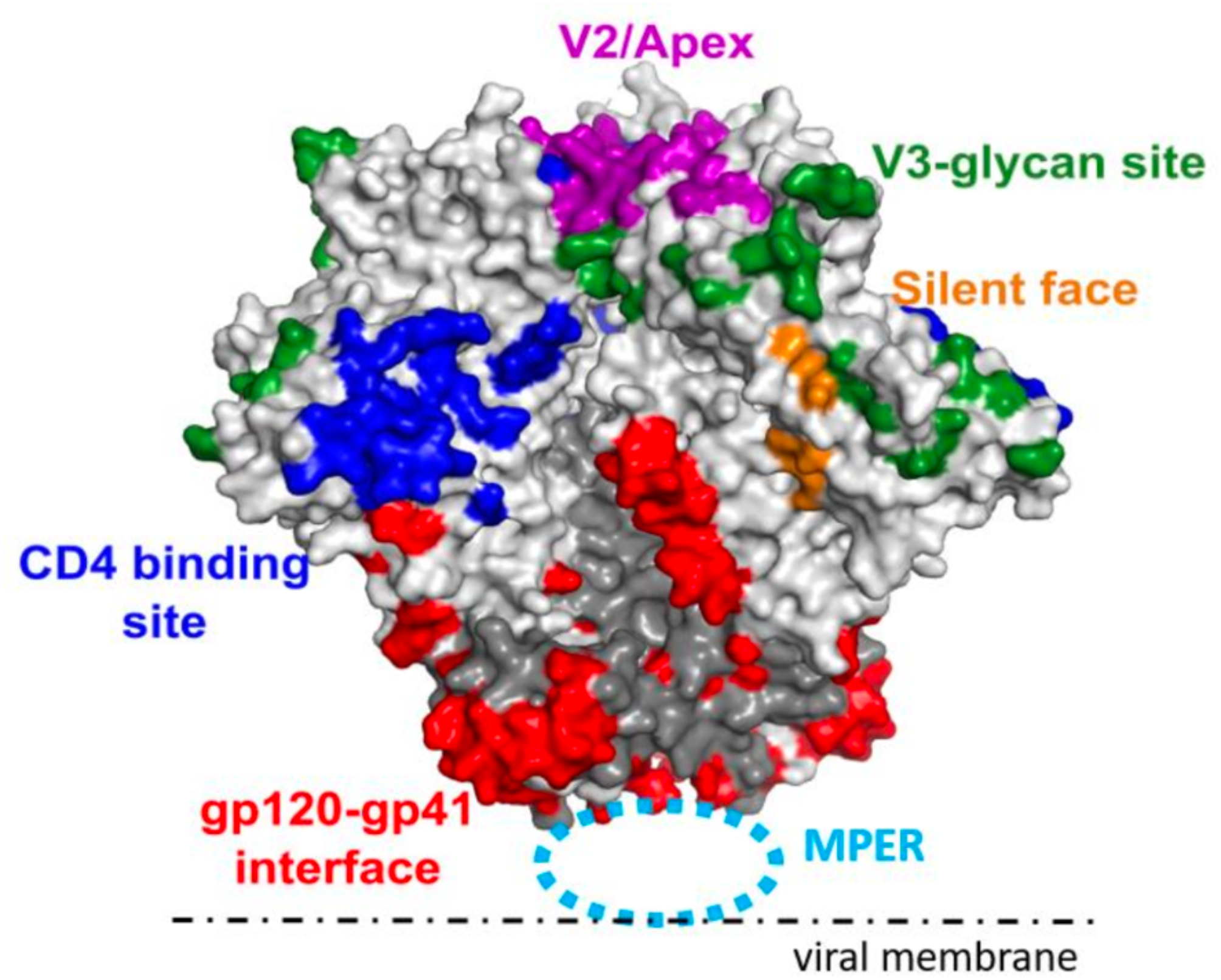 Clinical trials of broadly neutralizing monoclonal antibodies in people living with HIV – a review