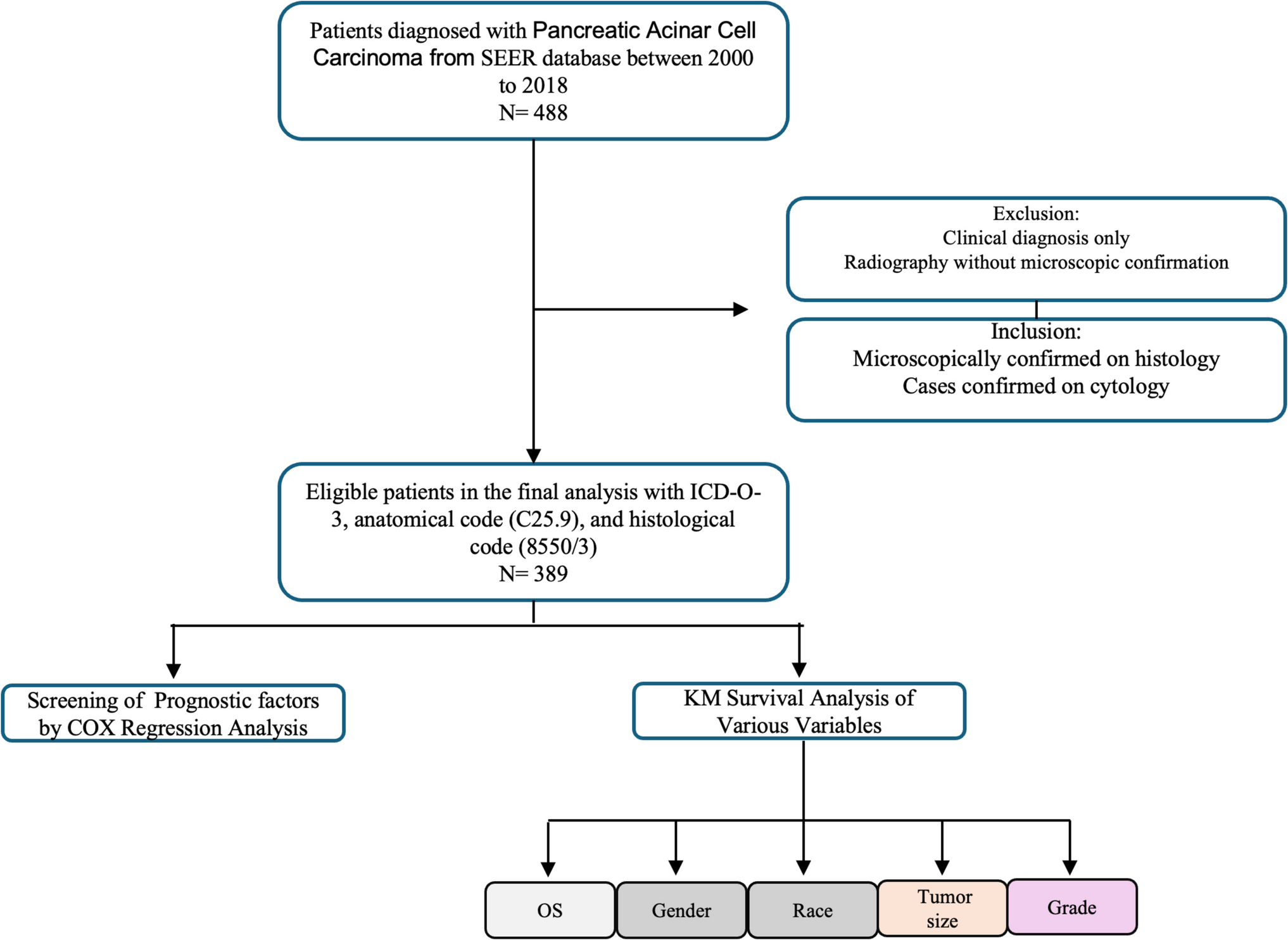 Pancreatic Acinar Cell Carcinoma: Demographics, Treatment, and Survival Outcomes, A Retrospective Population-Based Study