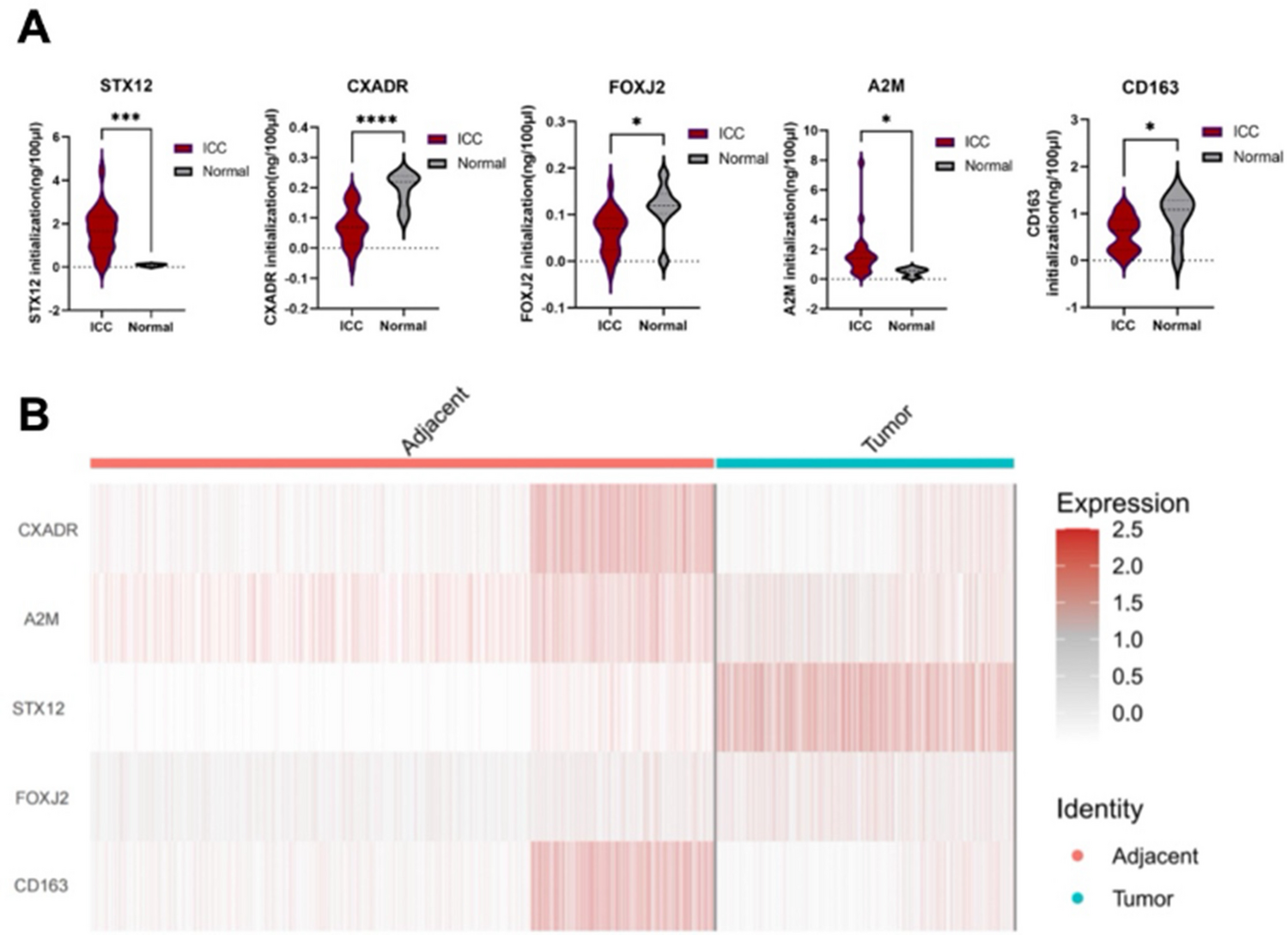 Identification of Novel Protein Biomarkers for Intrahepatic Cholangiocarcinoma by Integrating Human Plasma Proteome with Genome