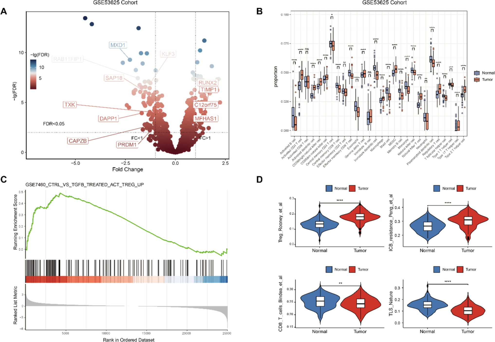 Regulatory T Cell Infiltration-Driven Single-Cell Transcriptomic Analysis Identifies SAP18 as a Prognostic Marker for Esophageal Squamous Cell Carcinoma