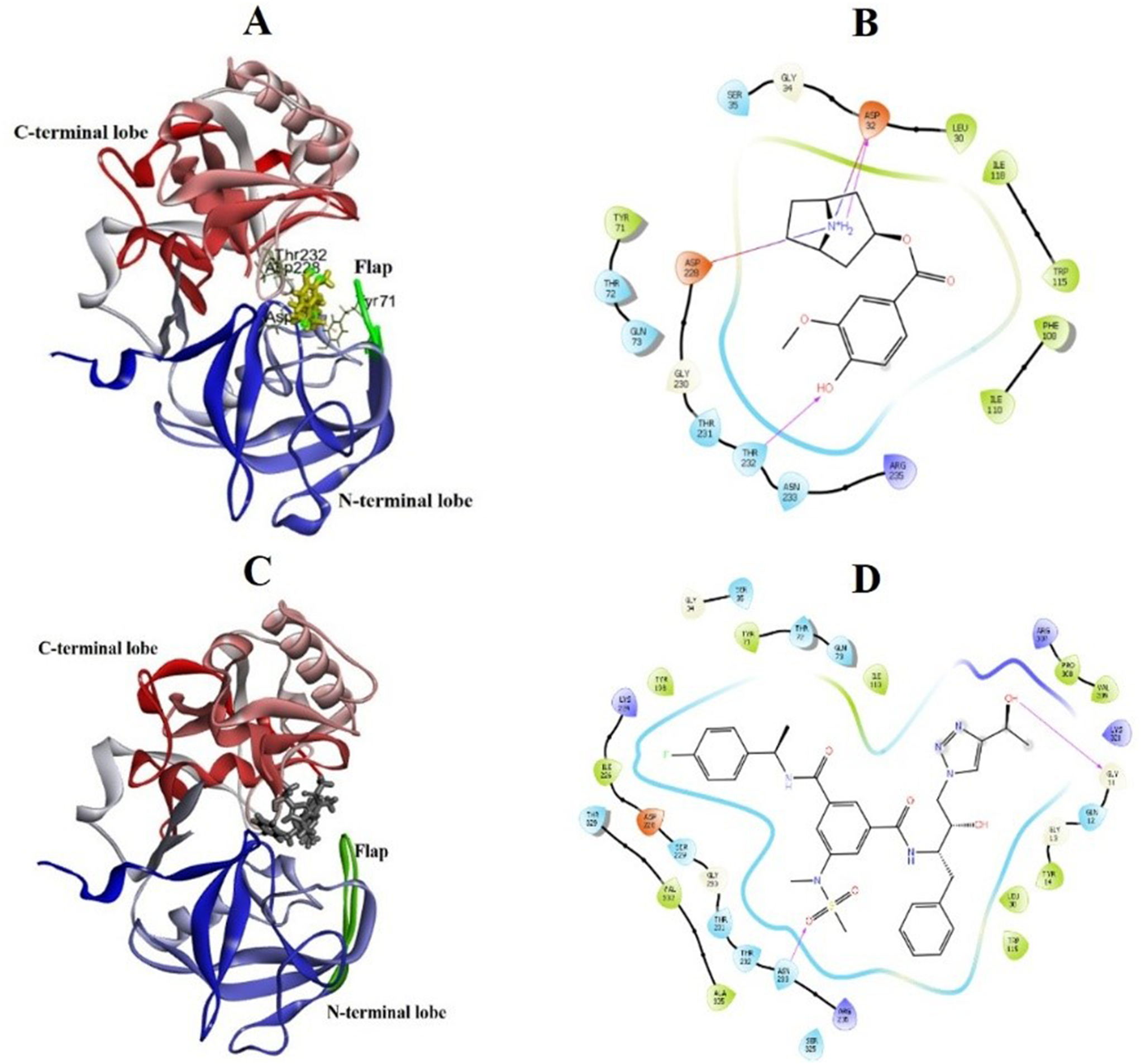 Convolidine as potent BACE1 inhibitor for Alzheimer’s disease; in-silico coupled with in-vitro assessment