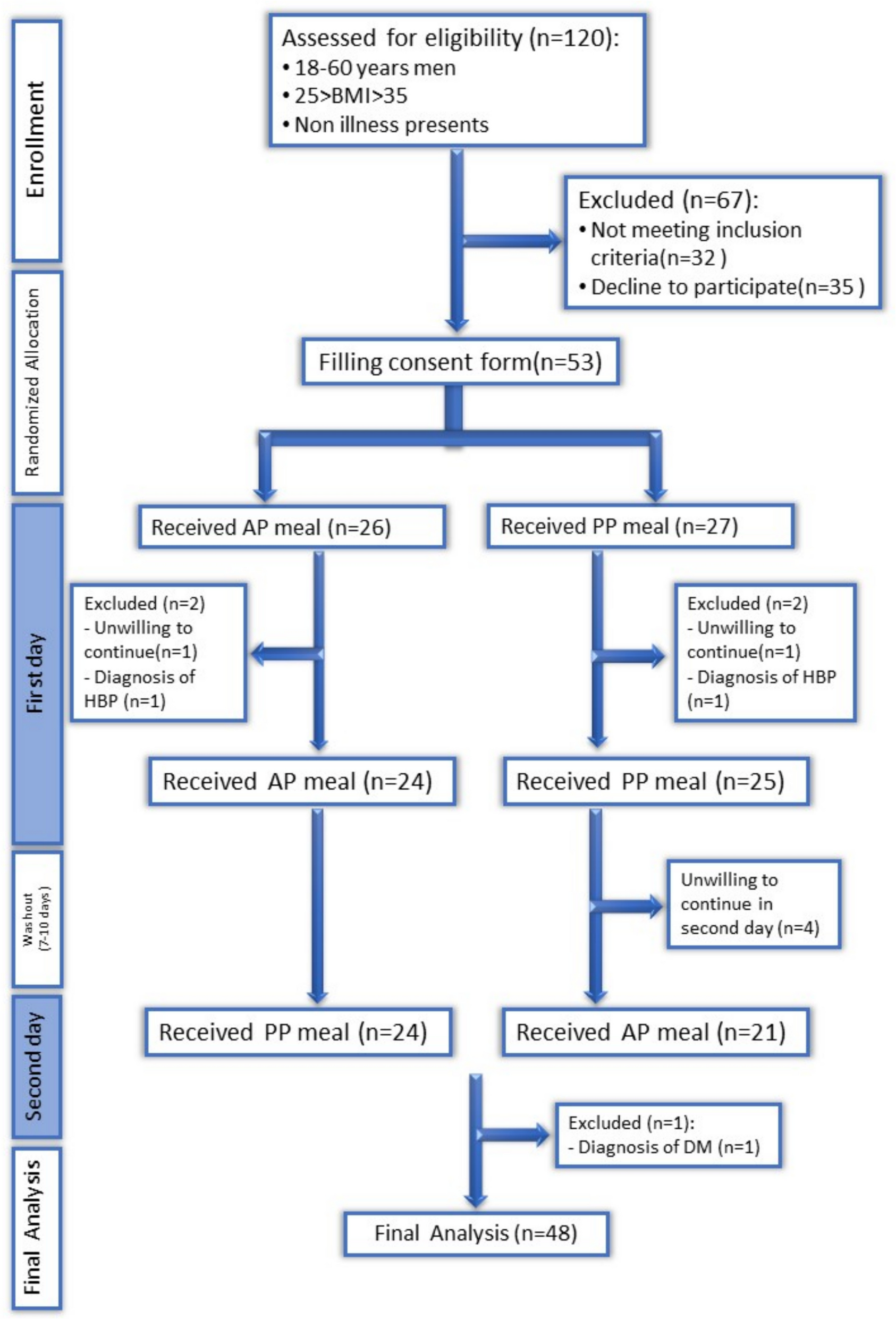 How animal and plant-based proteins affect energy metabolism during the postprandial phase in overweight and obese men: a cross-over design study