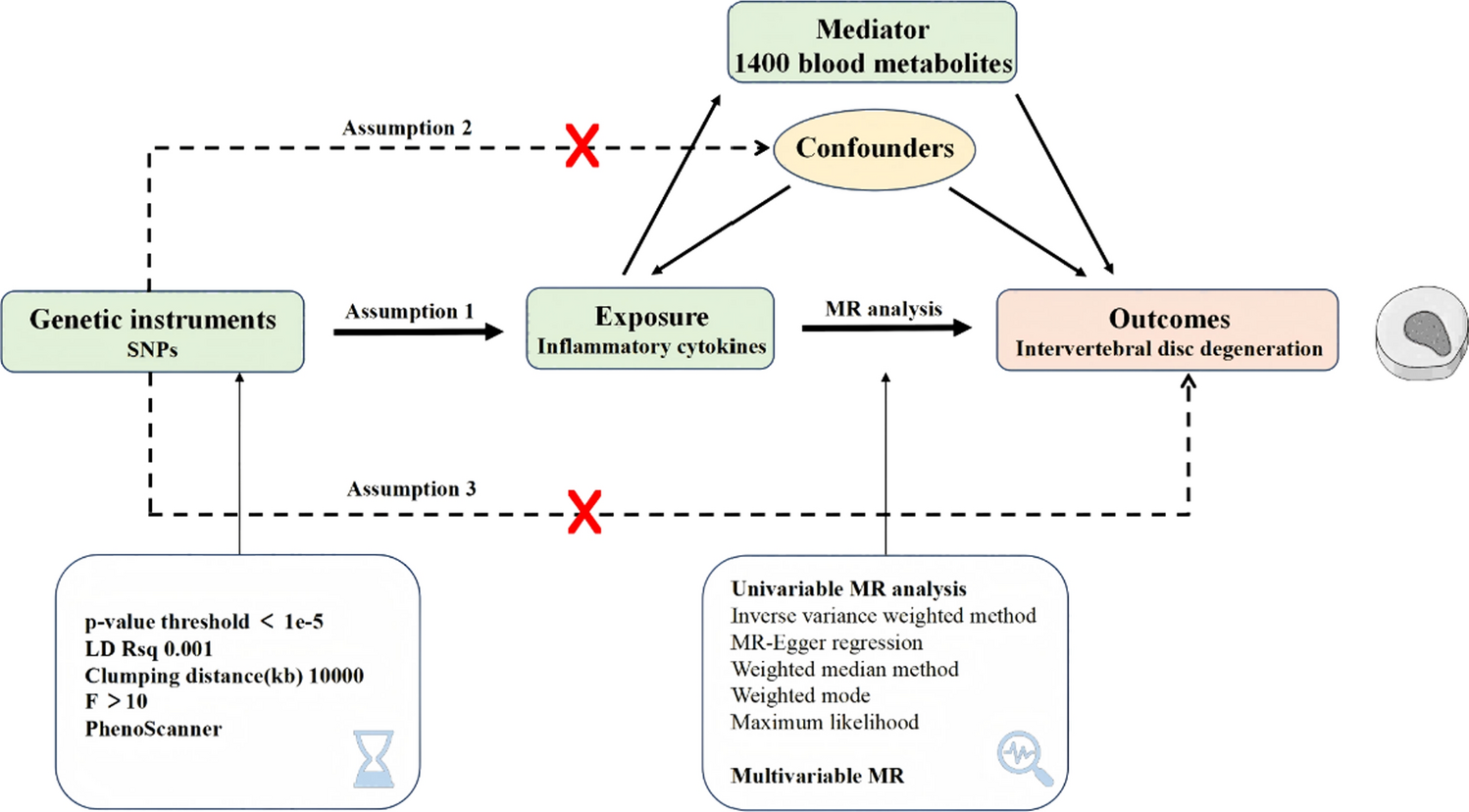 Tracing the pathways: how inflammatory cytokines and blood metabolites drive intervertebral disc degeneration