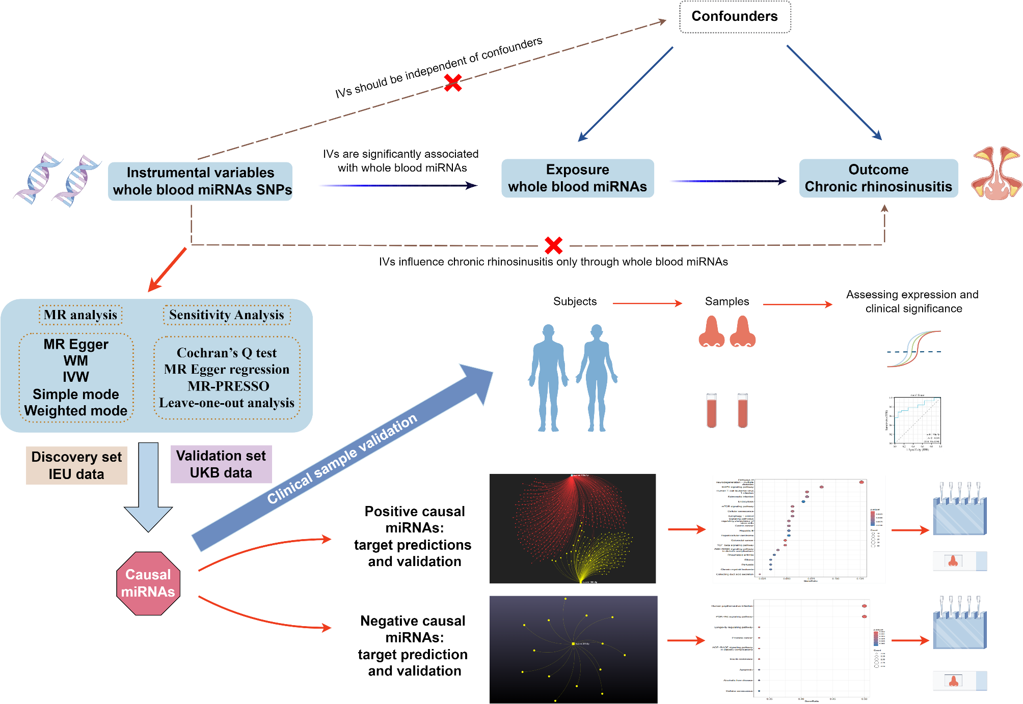 Causal role of MiRNAs in chronic rhinosinusitis: mendelian randomization and validation study