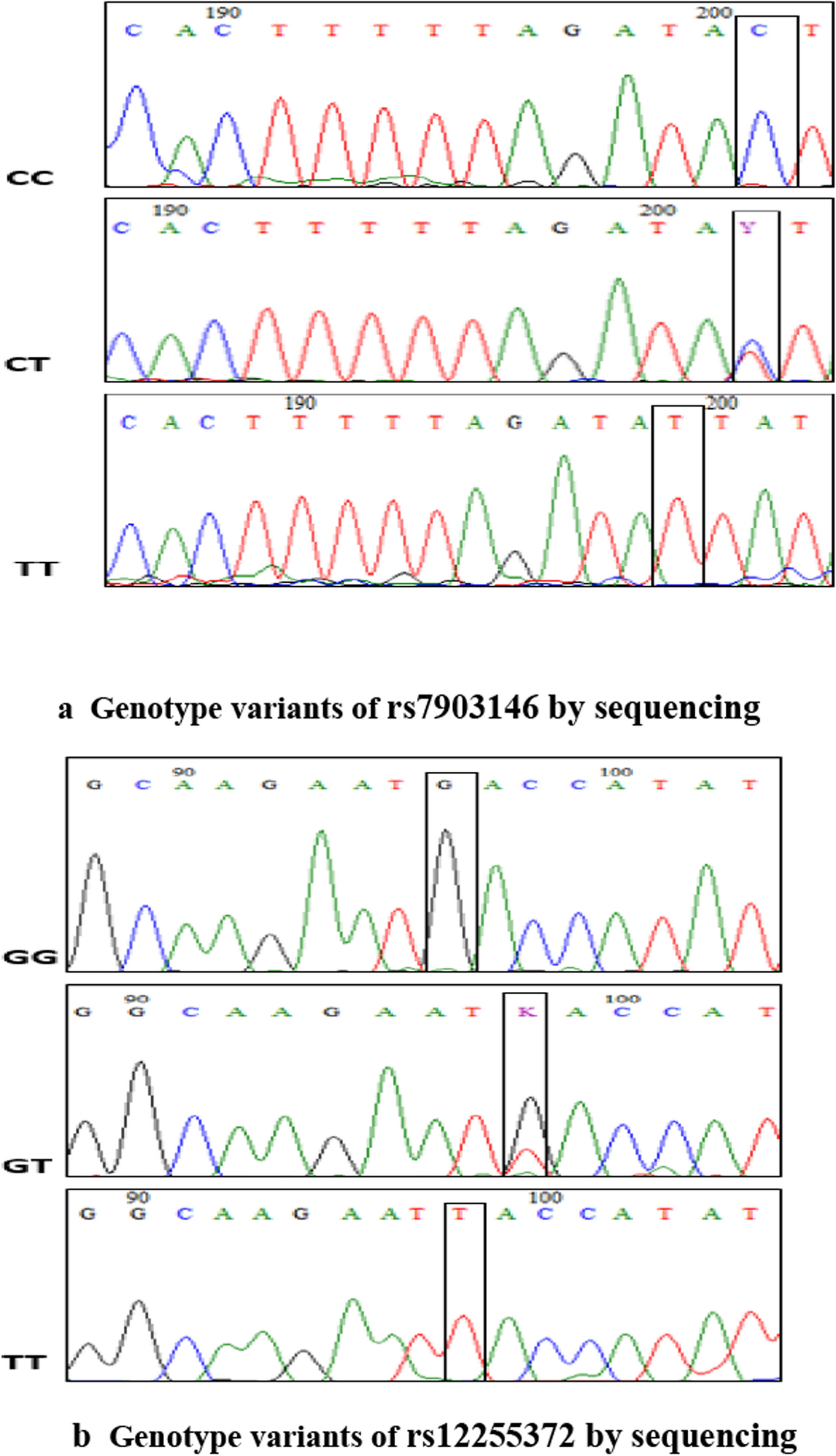 TCF7L2 gene rs7903146 and rs12255372 polymorphism is not associated with gestational diabetes in Bangladeshi women
