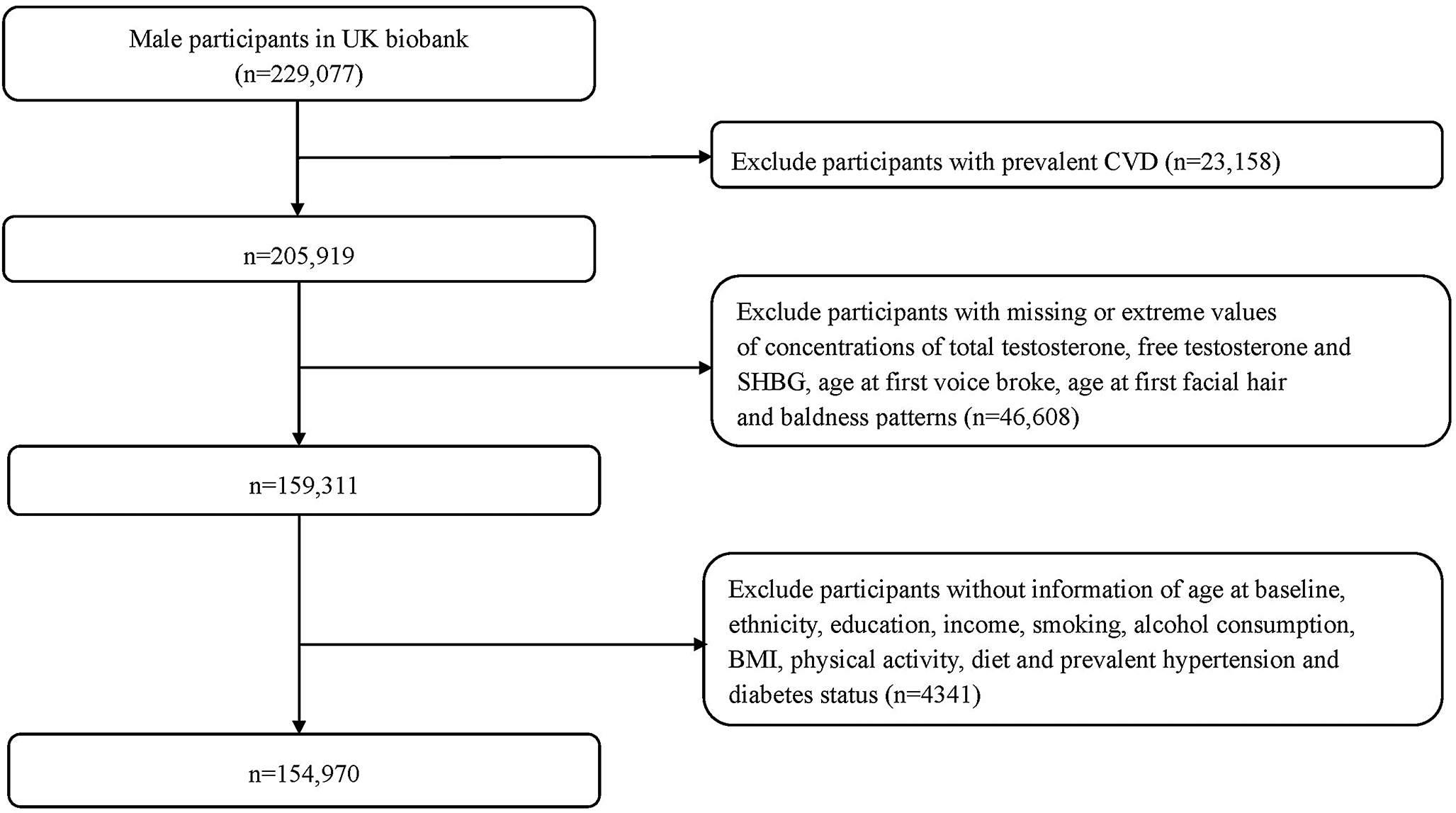 Male sex hormone concentrations, puberty timing, baldness patterns, and risk of cardiovascular disease