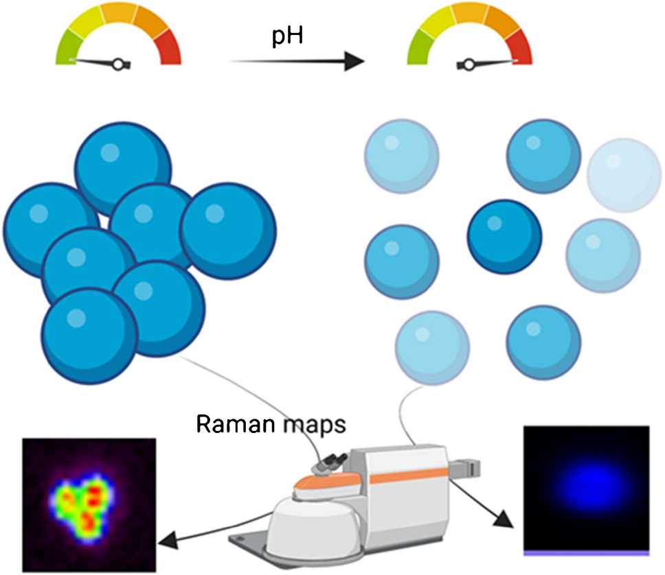 pH-tuned reversible self-assembly of Janus particles for enhanced Raman imaging and sensing