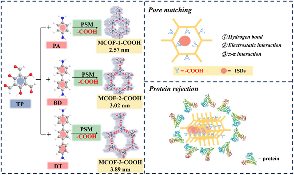 Functionalized magnetic covalent organic frameworks with refining tunable cores for highly selective adsorption of immunosuppressive drugs