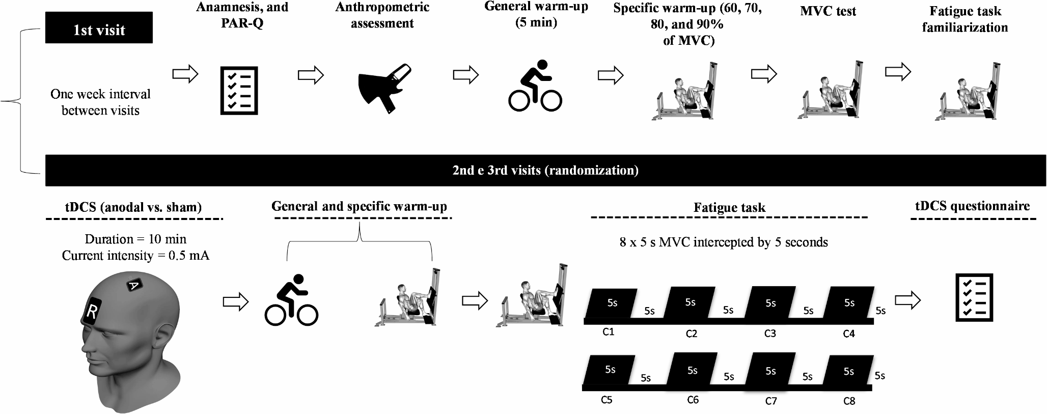 Effects of transcranial direct current stimulation (tDCS) on isometric endurance performance and electromyographic activity of the vastus lateralis in healthy male
