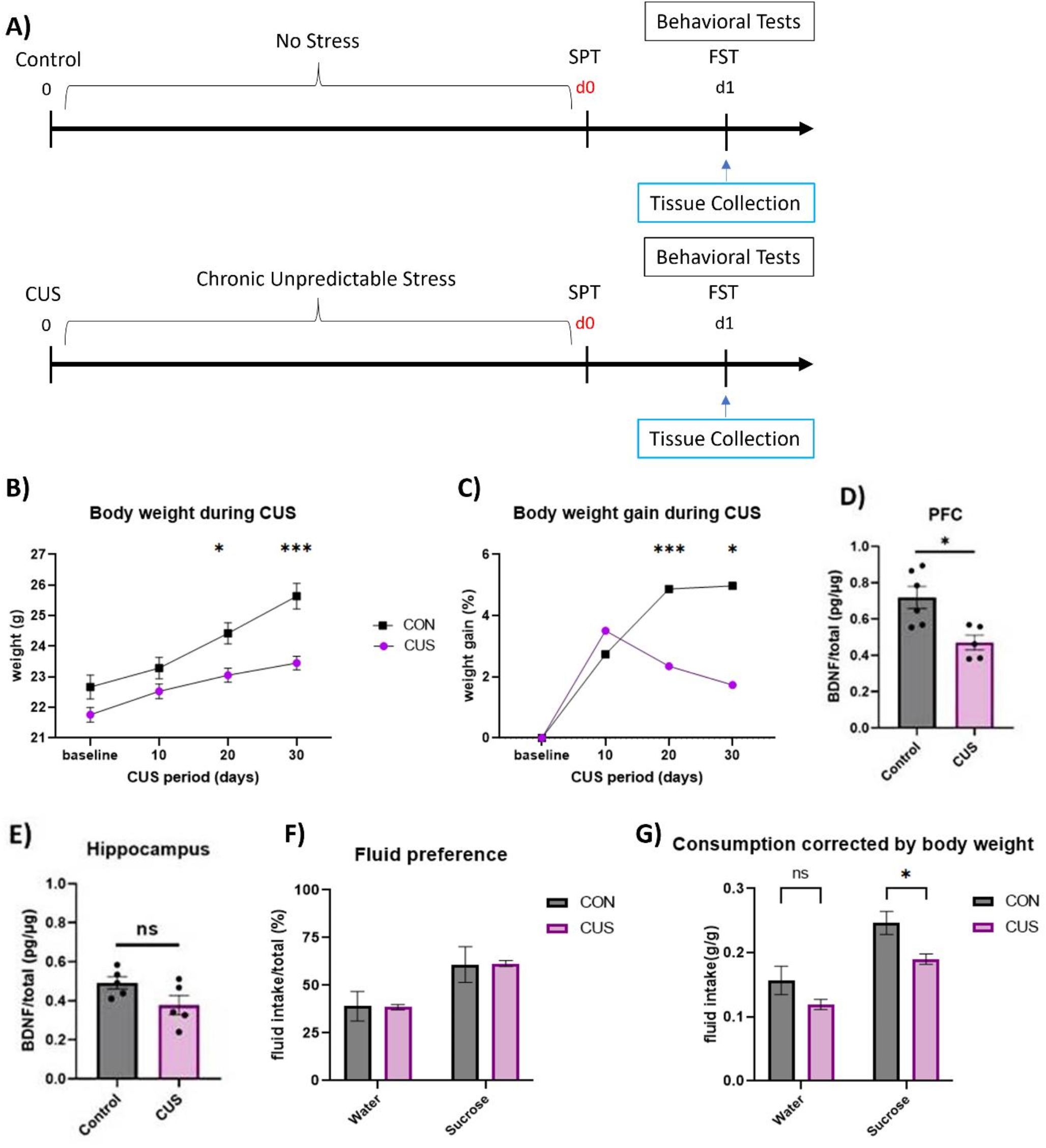 Role of CaMKII/CREB pathway in rapid-antidepressant-like effect: comparison of ketamine with rapastinel