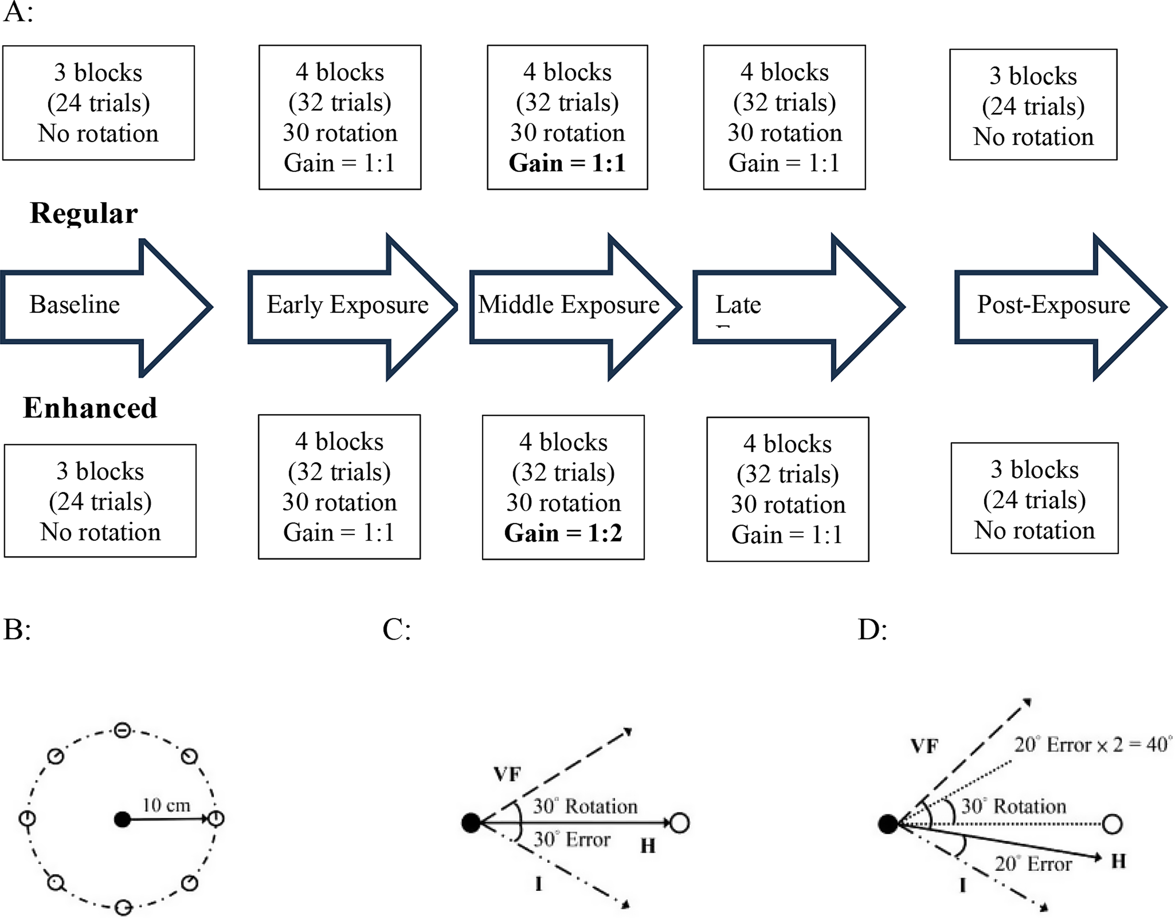 Do the enhanced errors impact visuomotor adaptation in children with autism spectrum disorder?