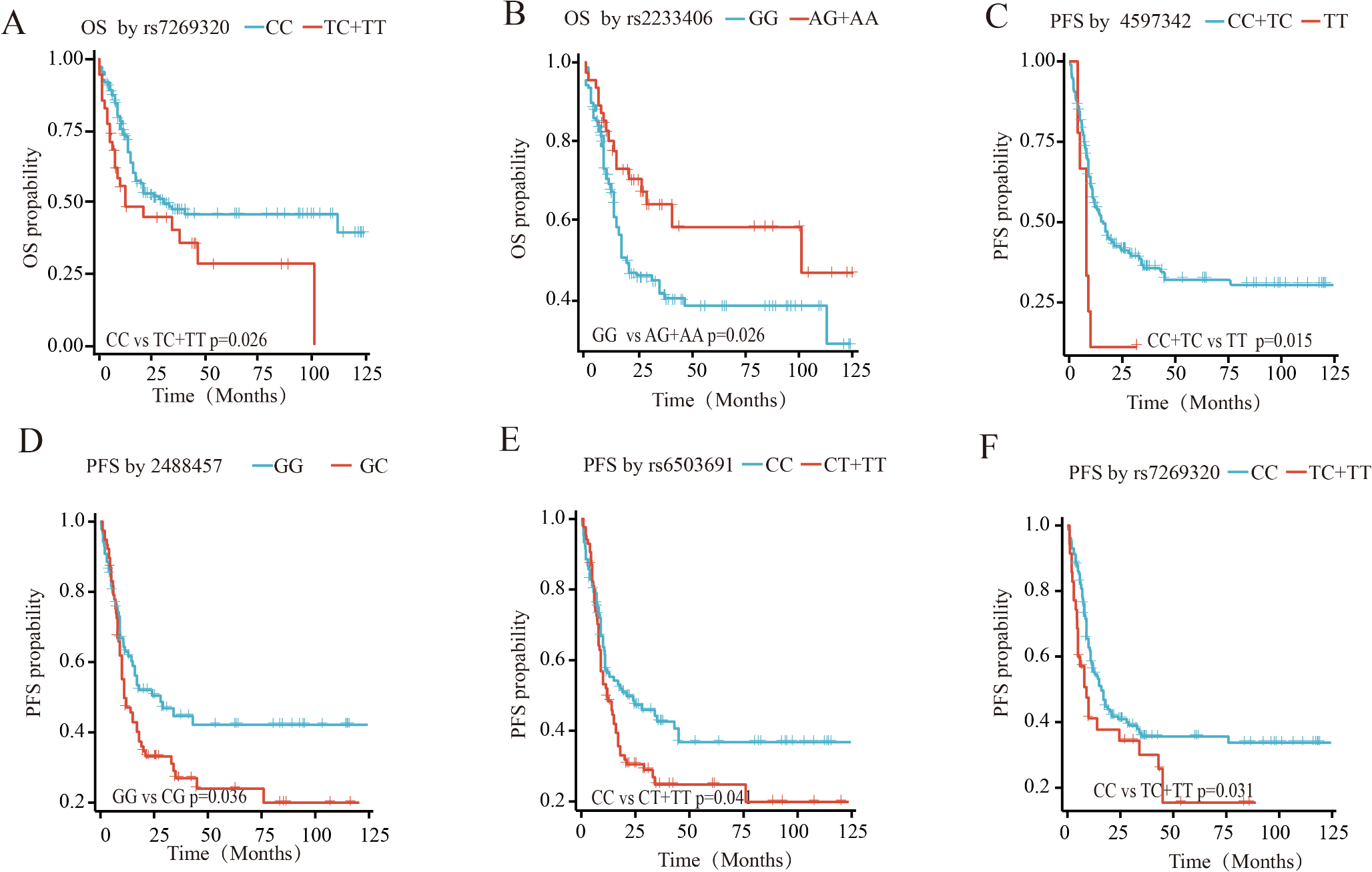 Immune-related genetic single-nucleotide polymorphisms contribute to prognosis and response to chemotherapy in patients with acute lymphoblastic leukemia