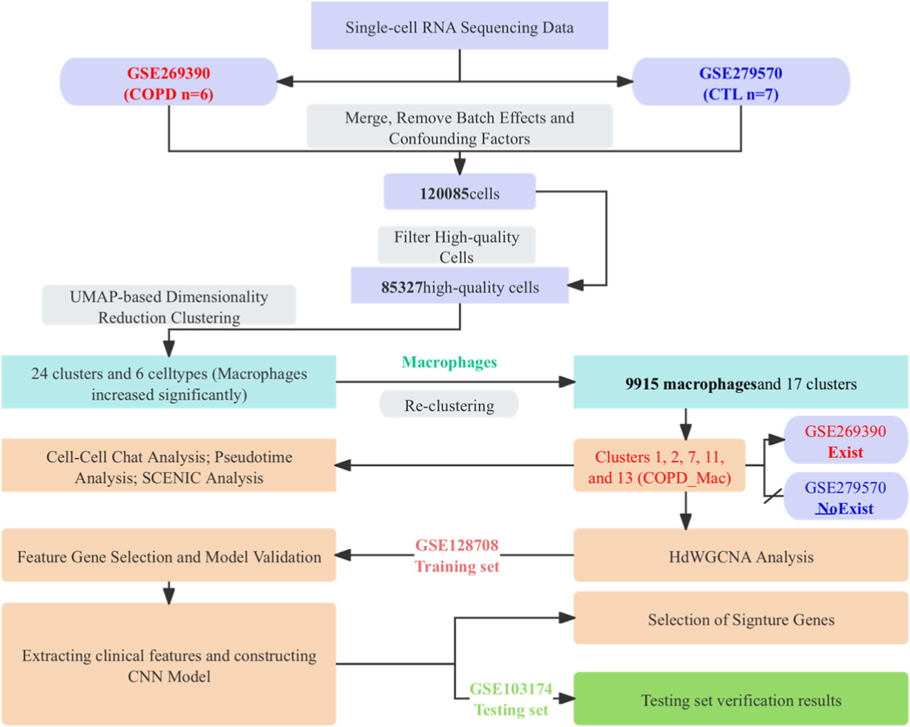 Single-cell hdWGCNA reveals a novel diagnostic model and signature genes of macrophages associated with chronic obstructive pulmonary disease