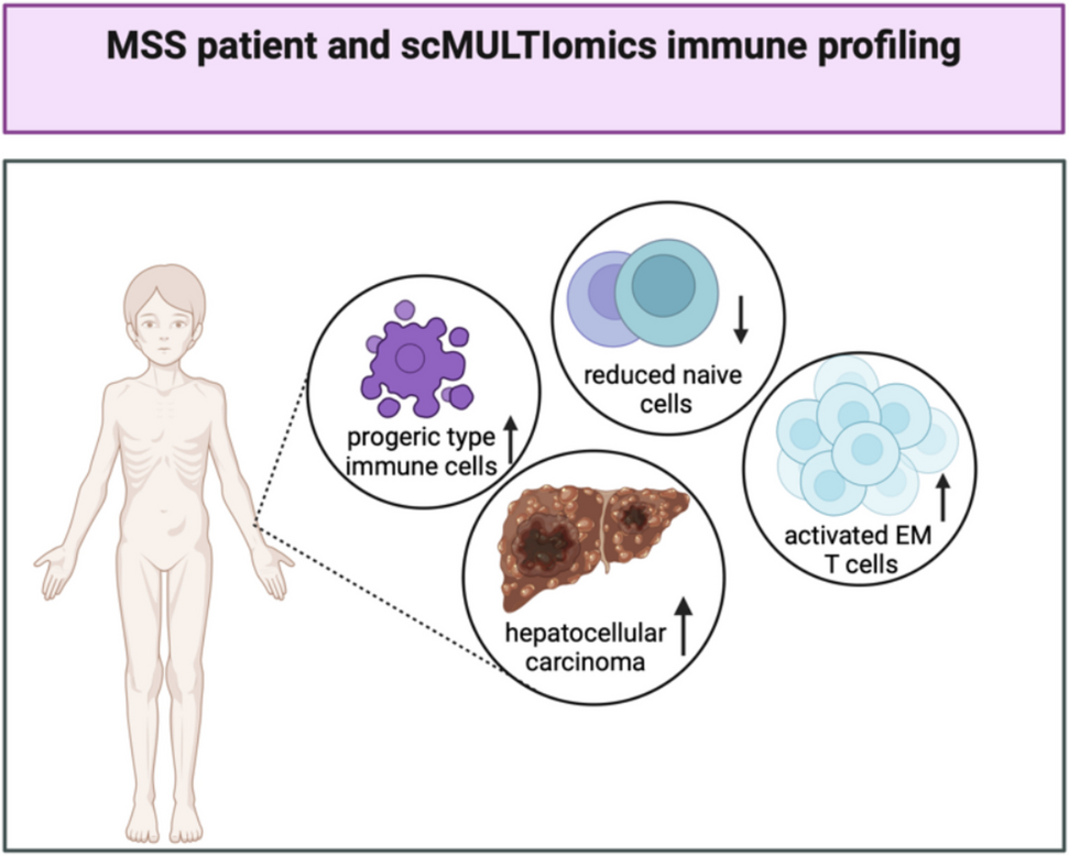 sc-MULTI-omics approach in nano-rare diseases: understanding the pathophysiological mechanism of Mulvihill-Smith Syndrome